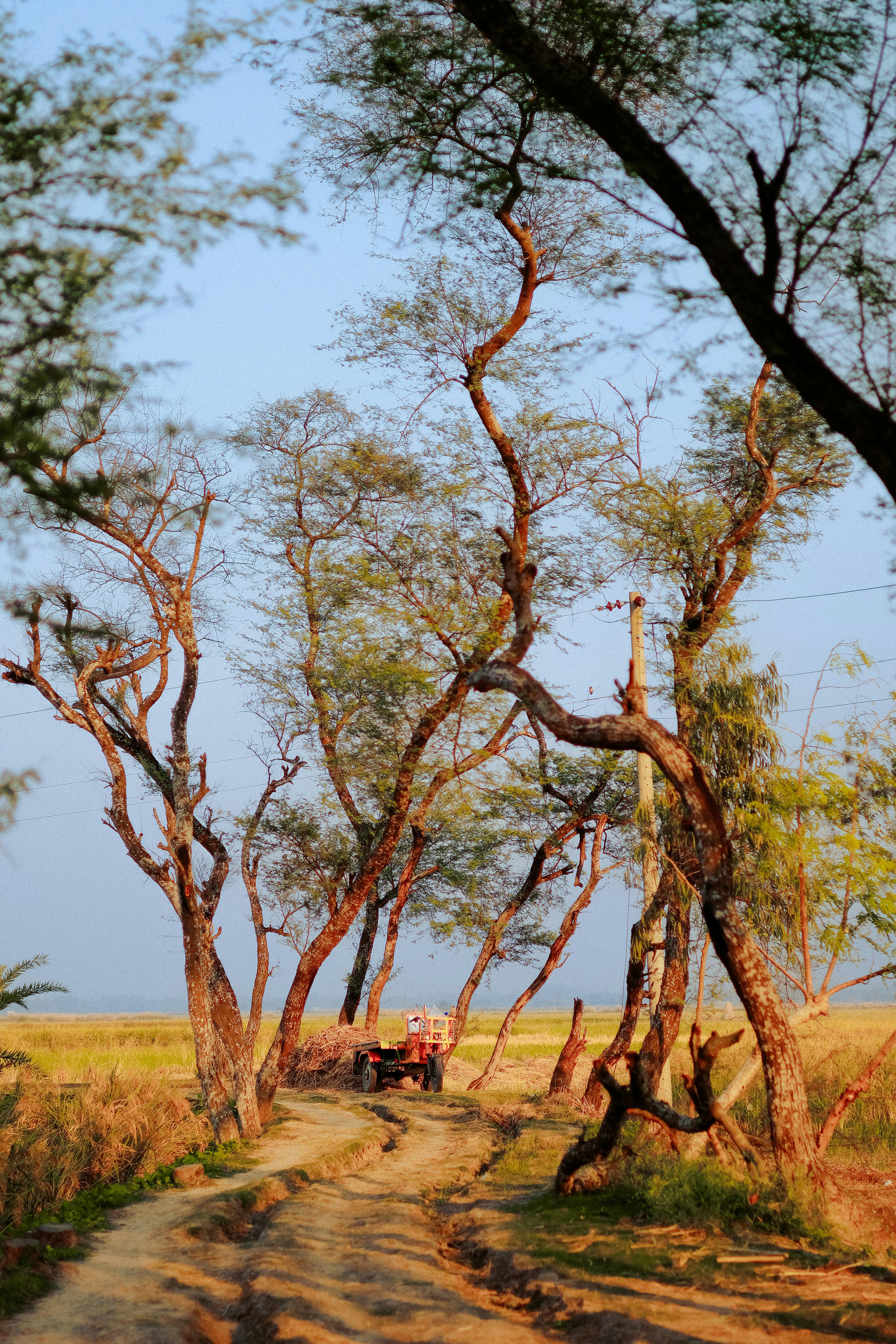 Sunset in African Savannah Landscape · Free Stock Photo