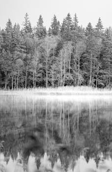 Captivating black and white image of a tranquil forest reflecting on a calm lake surface.