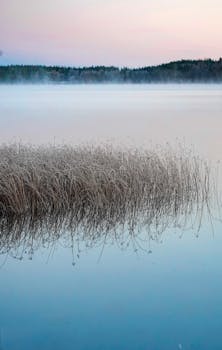 Calm lake with misty reflections at dawn, featuring tranquil reeds and soft pastel sky.