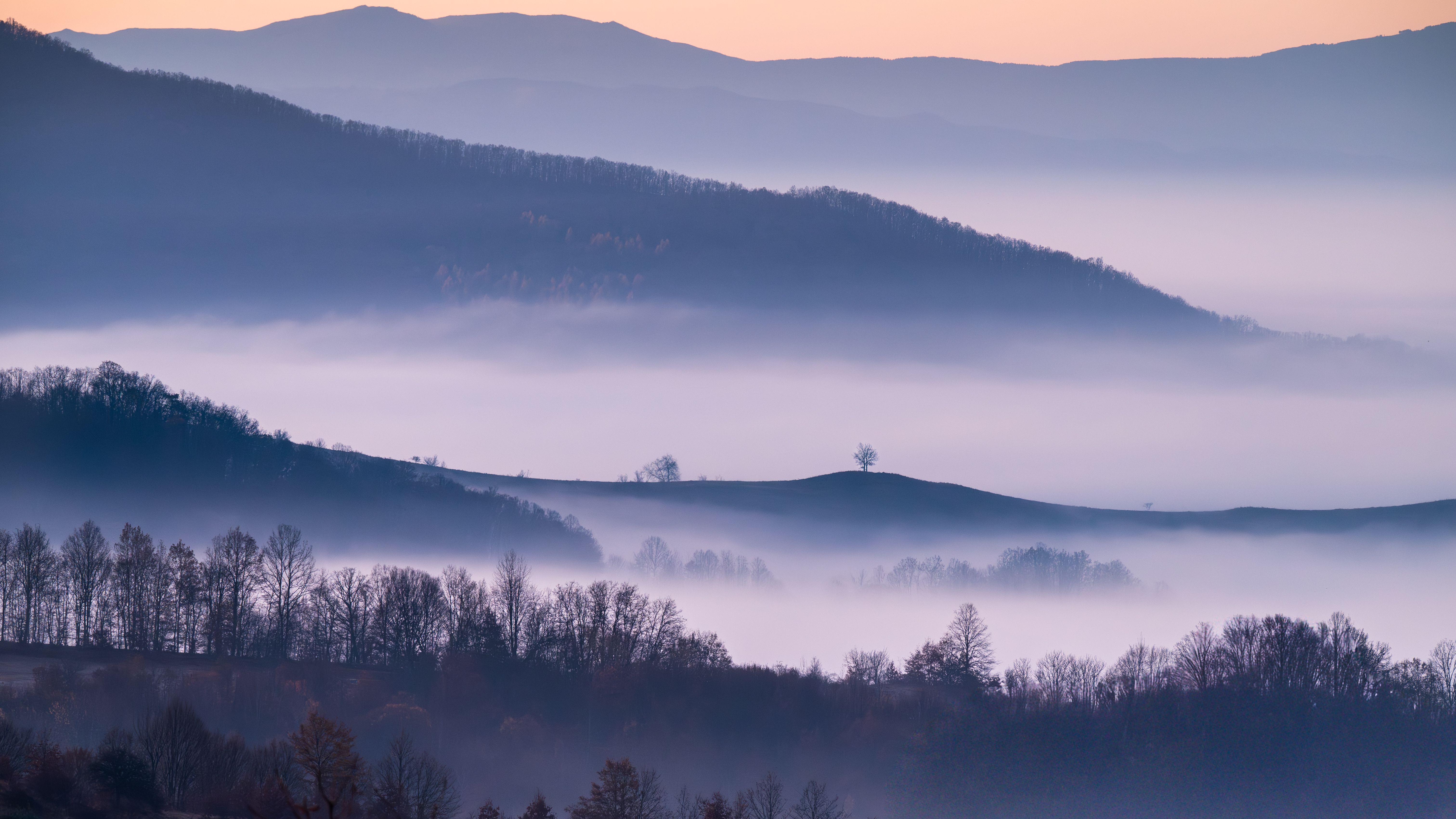 Serene Misty Hills at Dawn with Lone Tree · Free Stock Photo