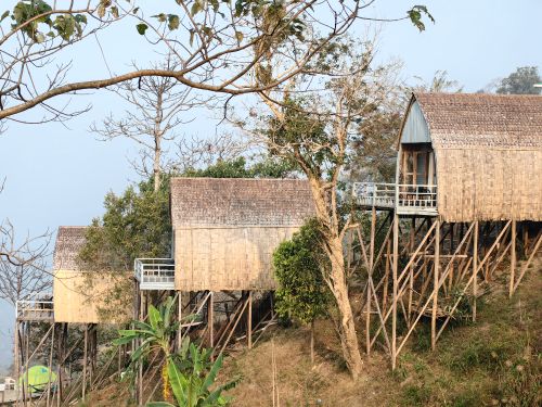 Free Tranquil view of bamboo treehouses amidst trees, ideal for eco-tourism. Stock Photo