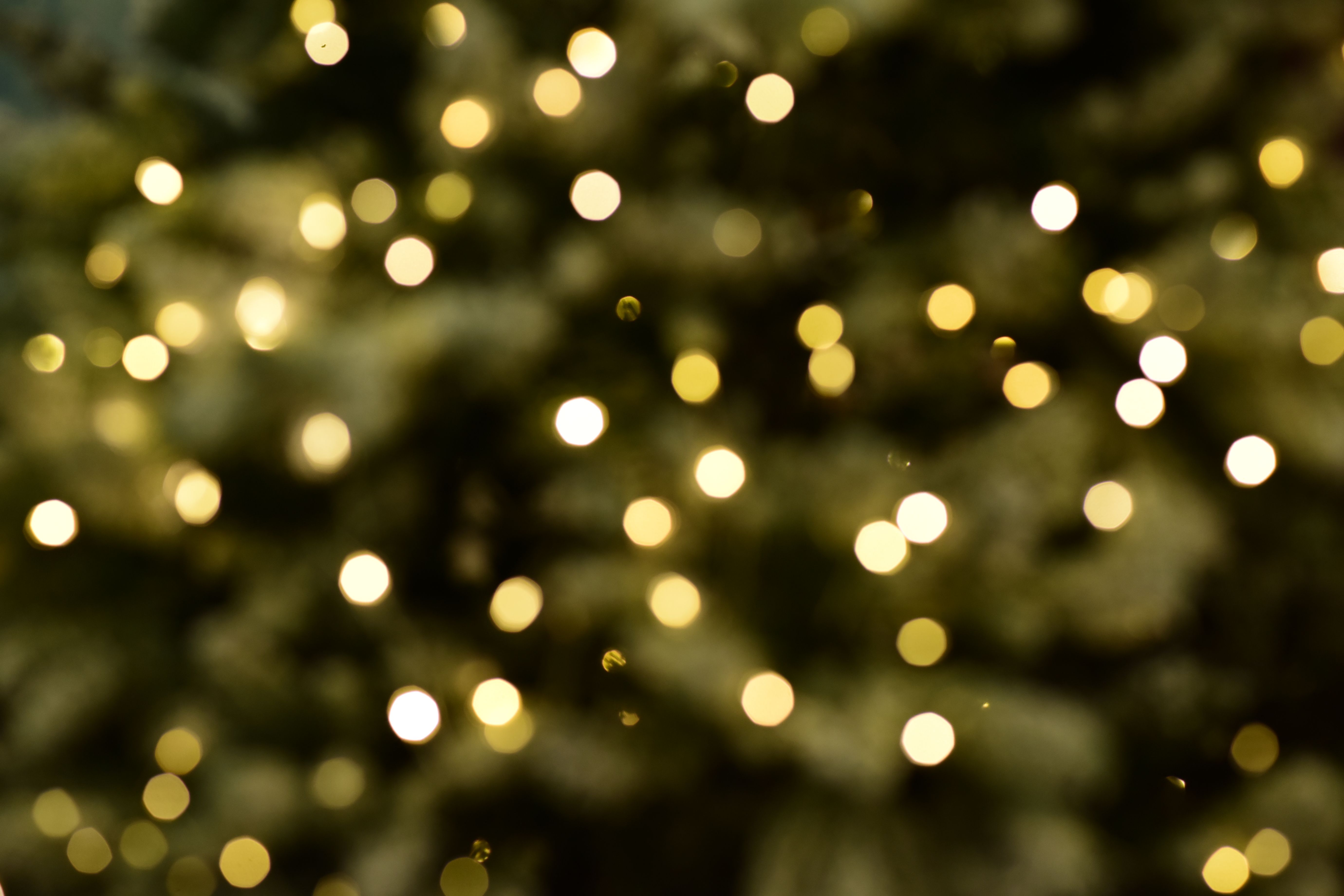 Golden Bokeh Lights Create Festive Atmosphere · Free Stock Photo
