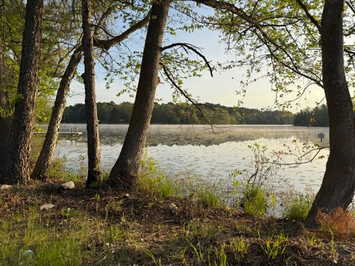 Free Scenic view of a misty lake at sunrise surrounded by trees, capturing a serene natural atmosphere. Stock Photo