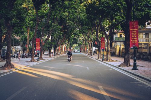 Free A quiet street shaded by lush trees, featuring a lone motorcyclist and vibrant banners. Stock Photo