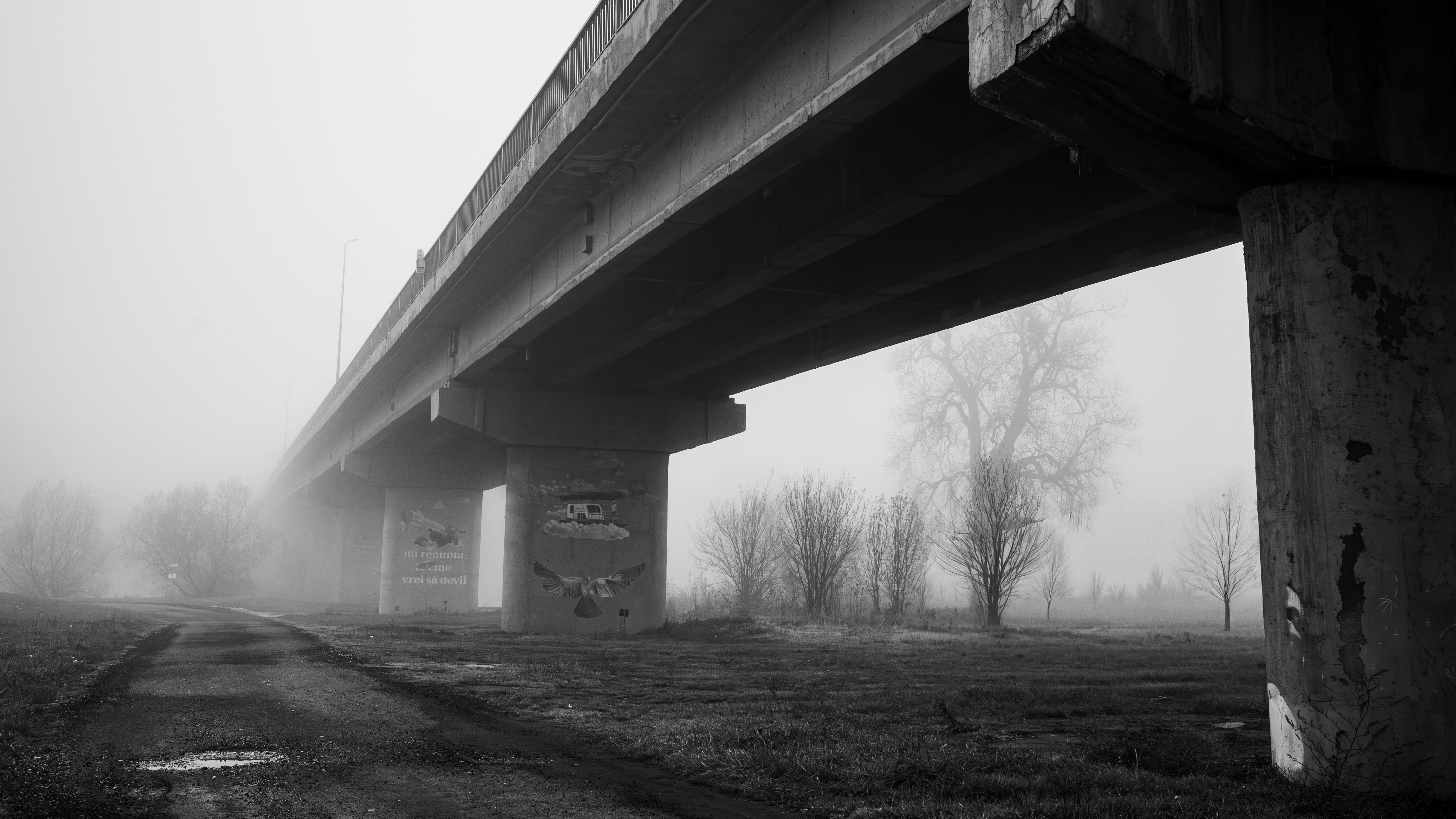 Beyond Logos: The Power of Grey Gradient's Signature Shade in Design