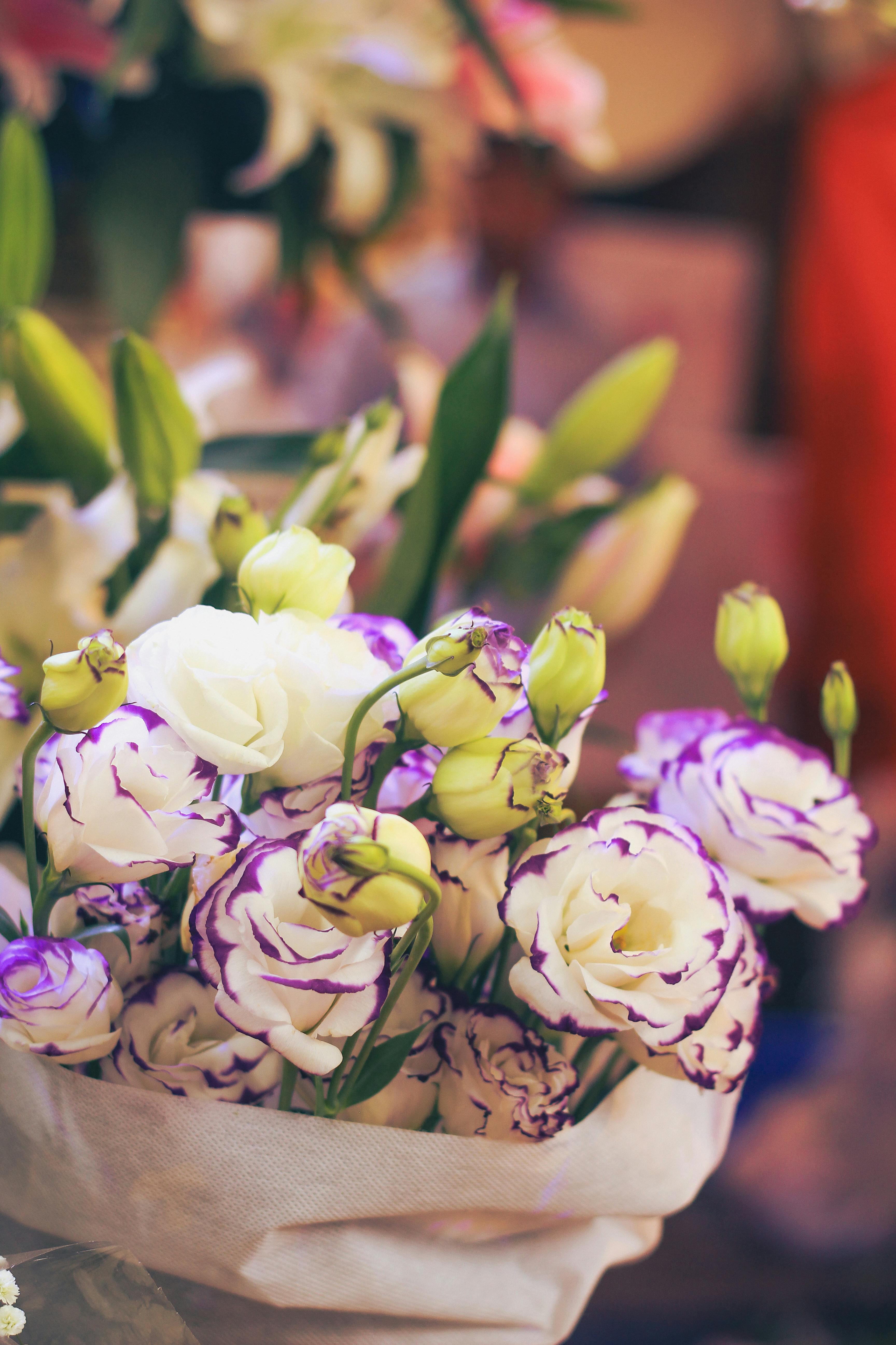 [ColoSach]-beautiful-purple-and-white-lisianthus-flowers-captured-in-a-vibrant-bouquet-outdoors.