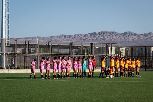 Women's soccer teams lineup on outdoor field with mountain backdrop for match start.