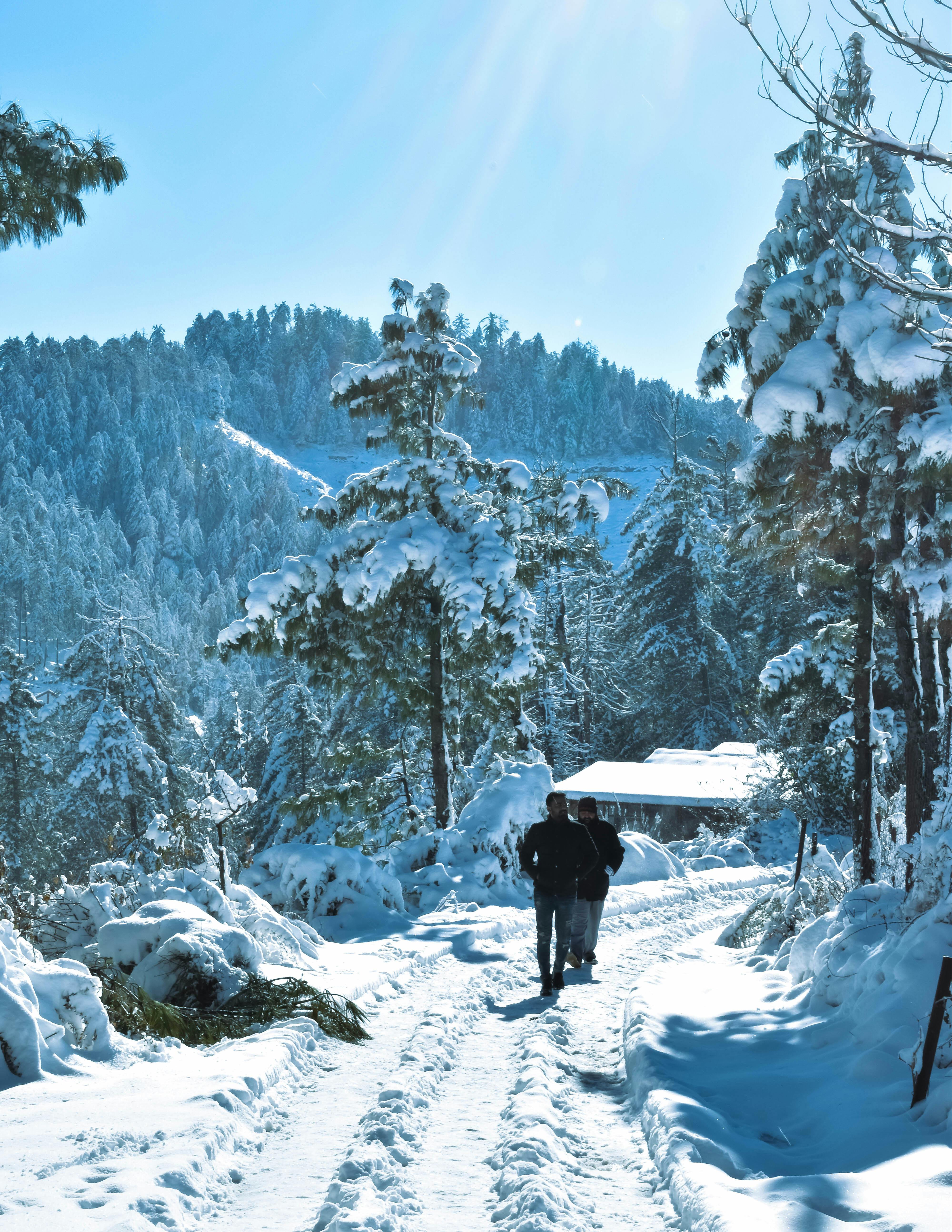 Manali Snow Road