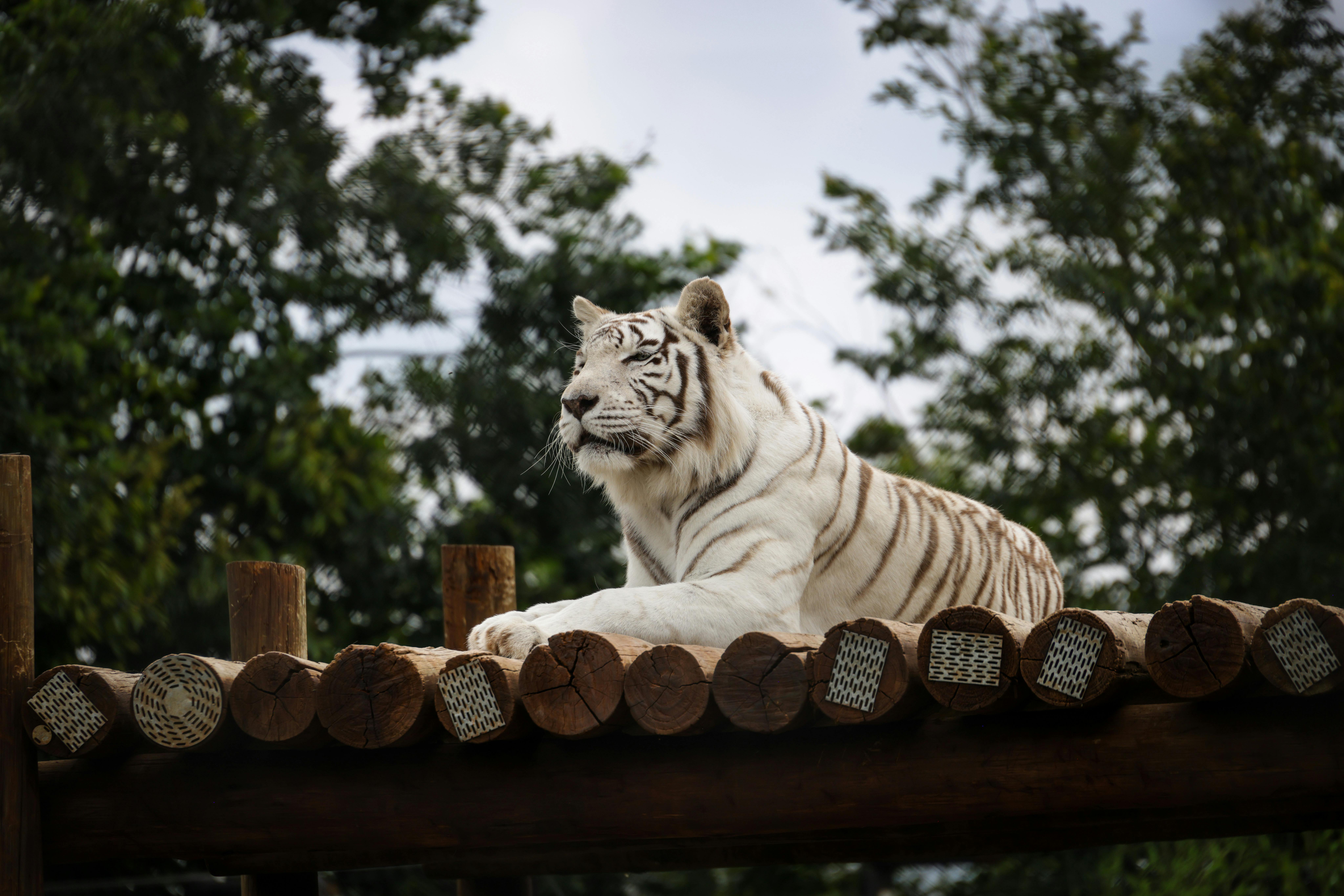 生活：彰化消防隊赴日觀摩 學習日本救護專業經驗提升救災能力