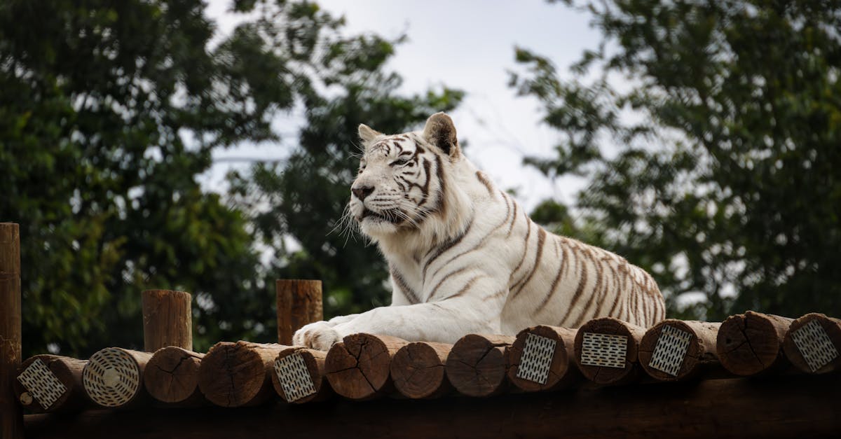 生活:彰化消防隊赴日觀摩 學習日本救護專業經驗提升救災能力