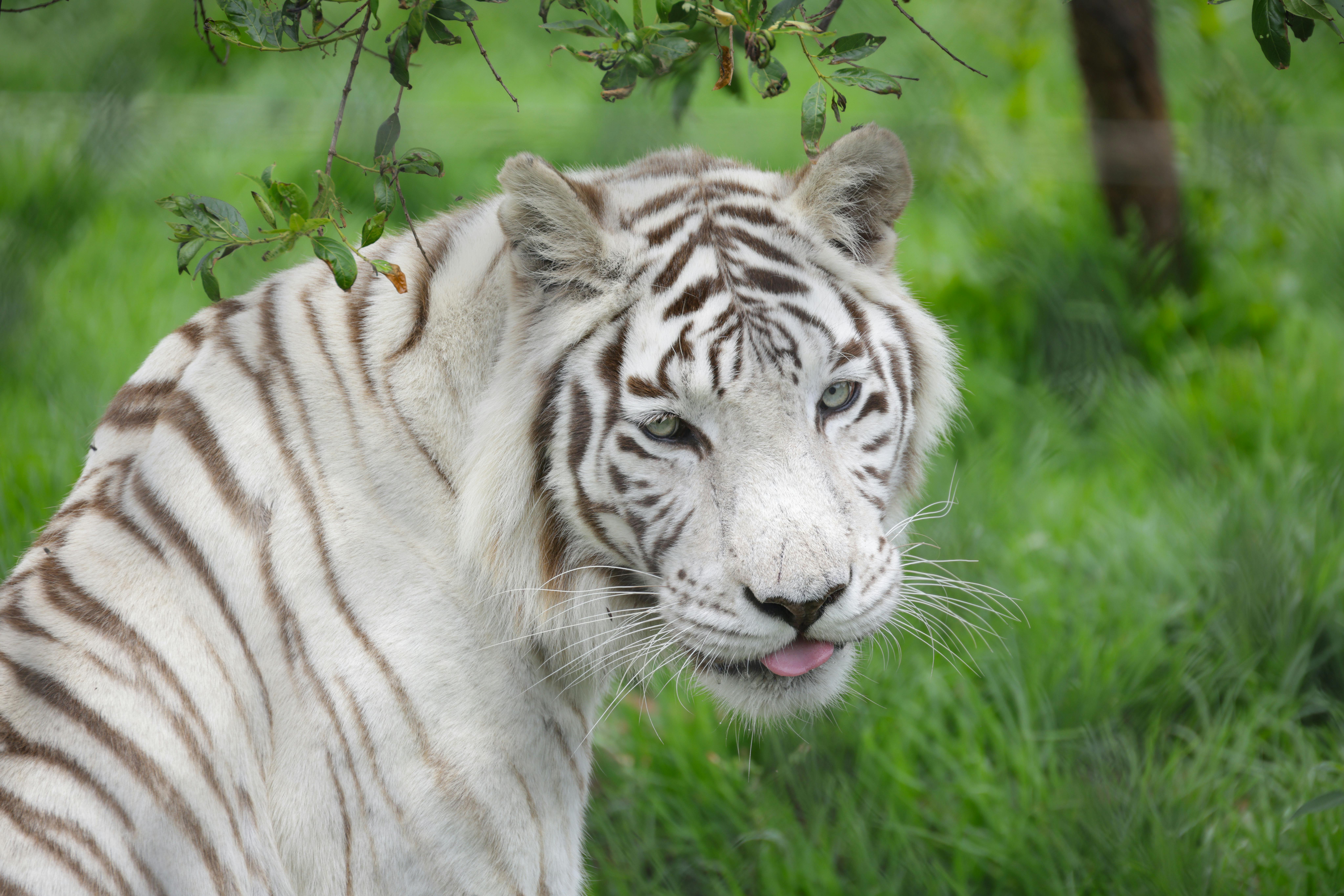 Rare Crypto Coins That Could Make You Rich