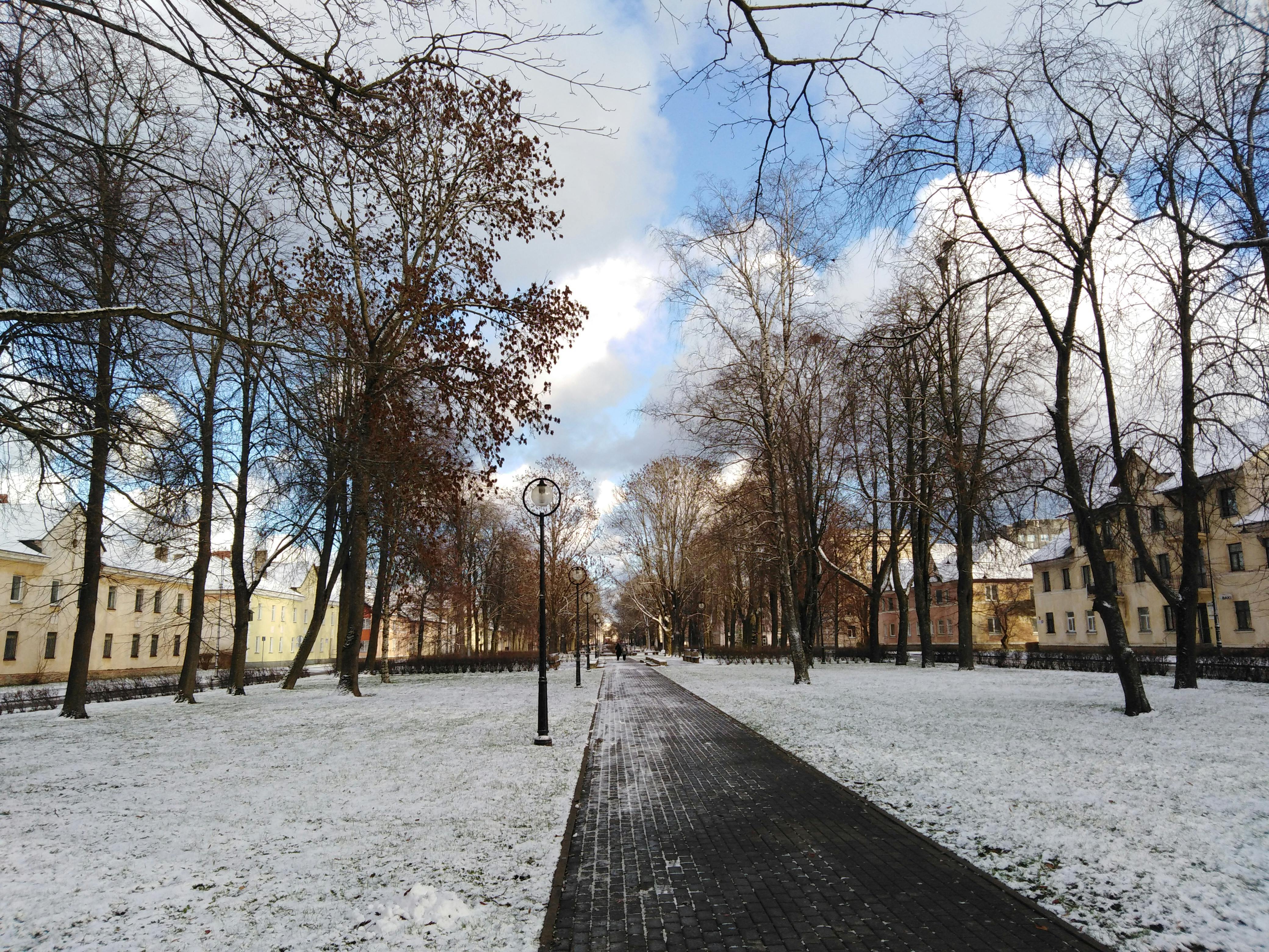 Scenic winter park path lined with bare trees and light snow, captured in a tranquil outdoor setting.