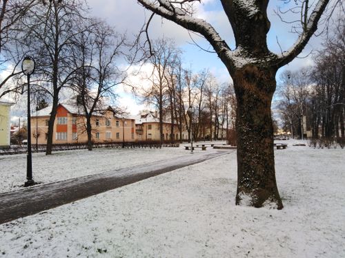 Free A tranquil snowy park scene featuring bare trees and pastel-colored buildings on a winter day. Stock Photo