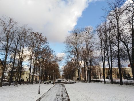 Discover a serene winter landscape in Narva, Estonia, with snow-covered paths and barren trees.