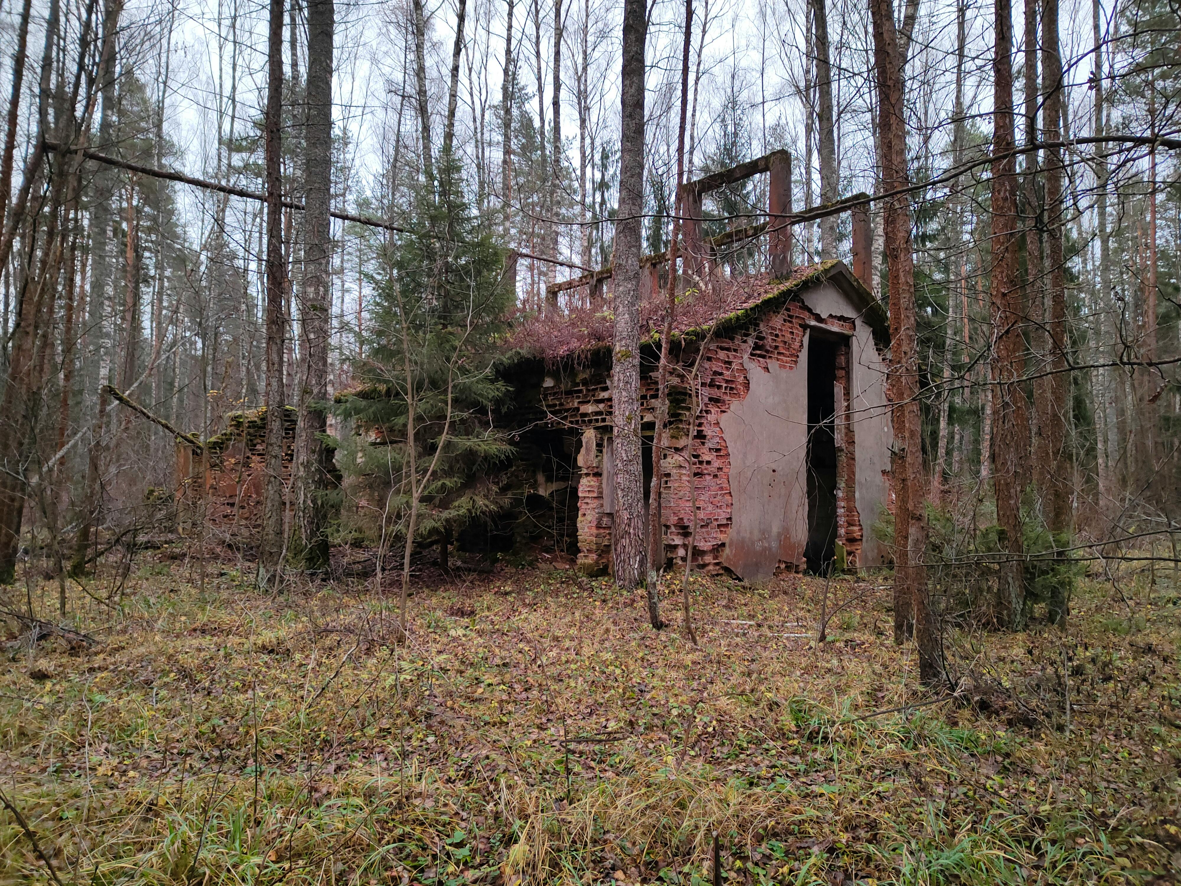 生活：最強冷空氣襲台 全台濕冷感持續 專家預測回暖時程