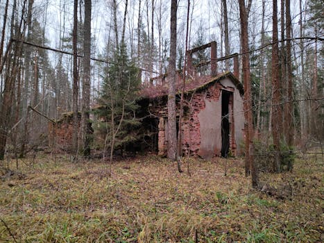 An old, decayed brick structure surrounded by trees in a forest setting.