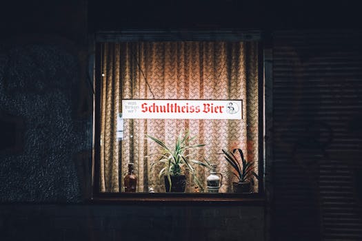 Cozy Berlin pub window display with illuminated sign and plants at night.
