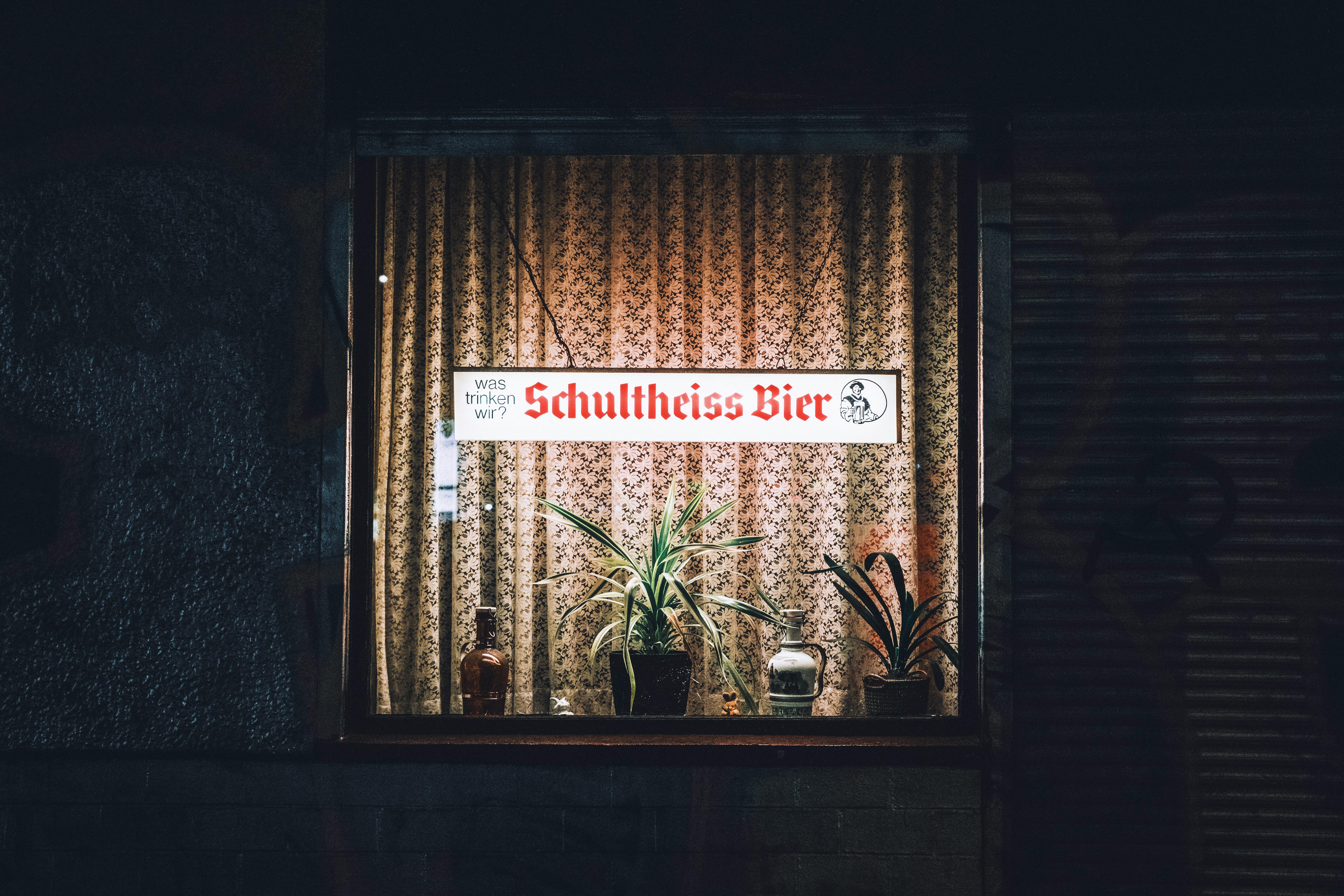 Gratis Vetrina accogliente di un pub berlinese con insegna illuminata e piante di notte. Foto a disposizione