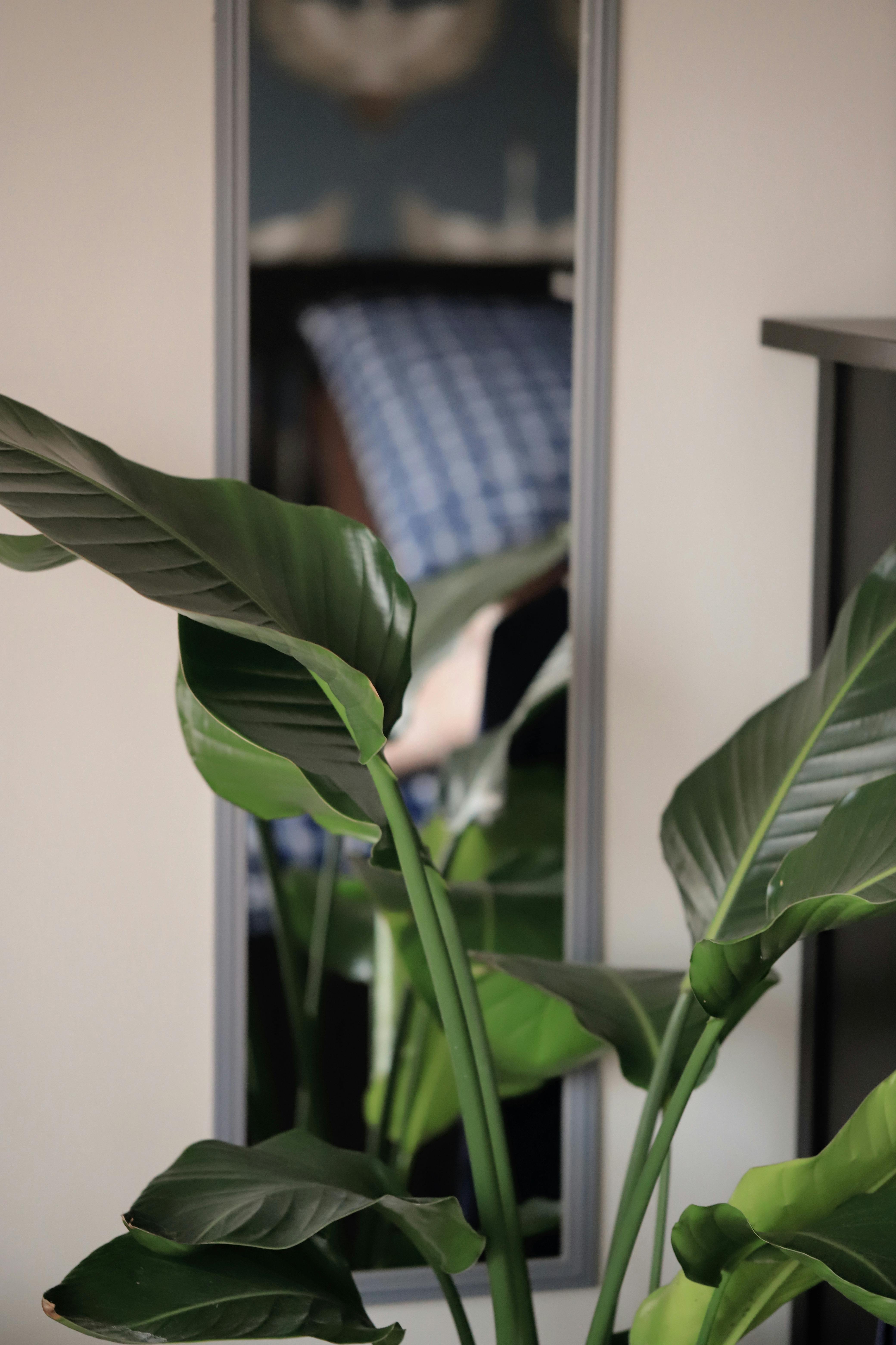 3- Zimmer Wohnung in Wolfsburg Ratgeber – Tipps, Vorteile & Beispiele