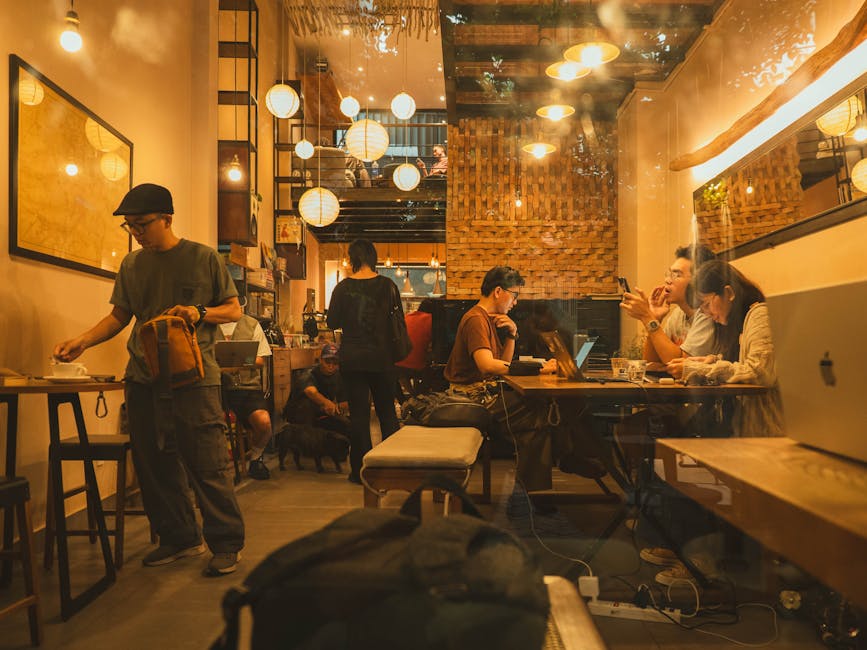 Tradutor Freelancer (Inglês–Português)