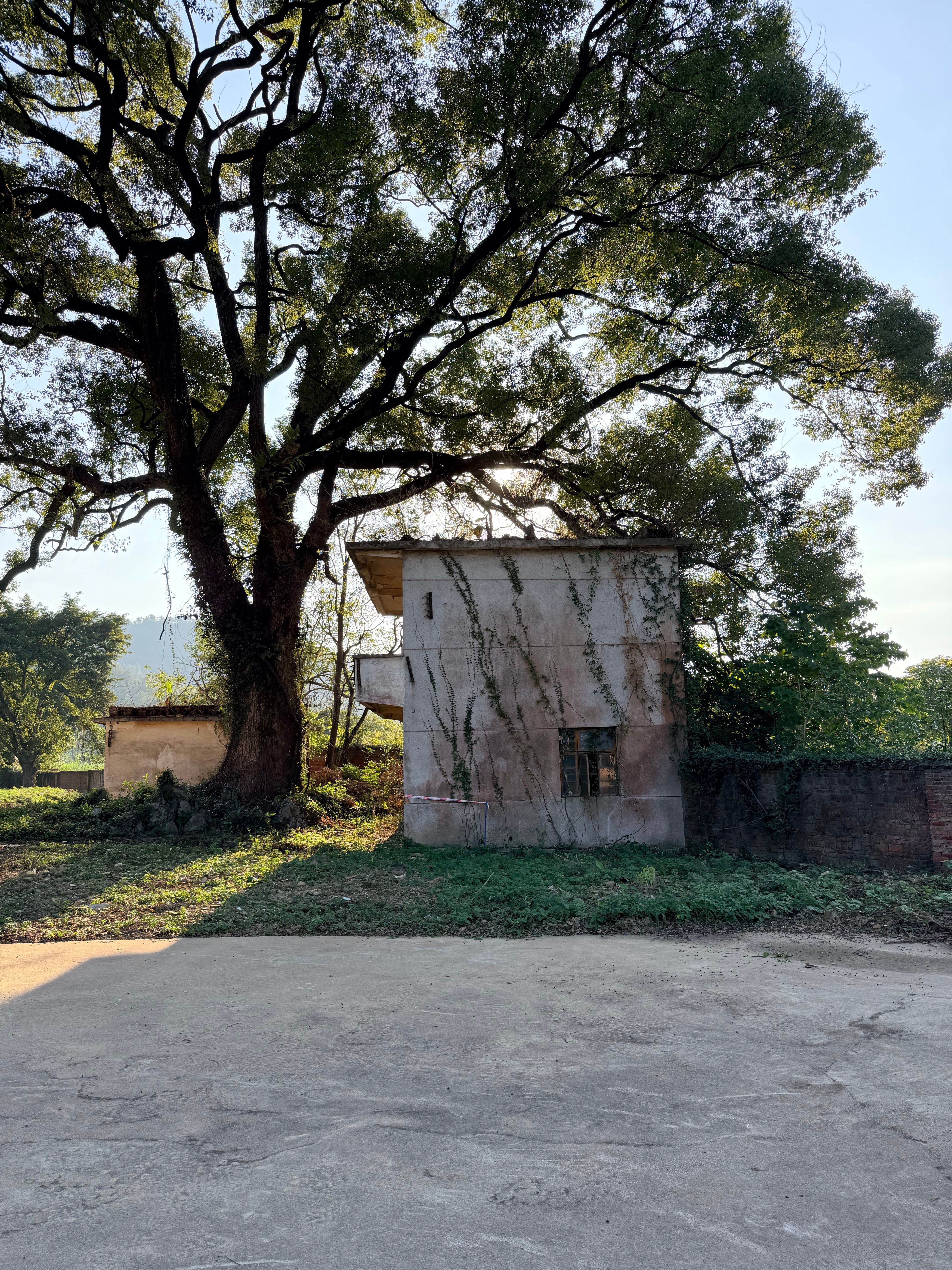 Rustic Abandoned House in Sunny Countryside · Free Stock Photo