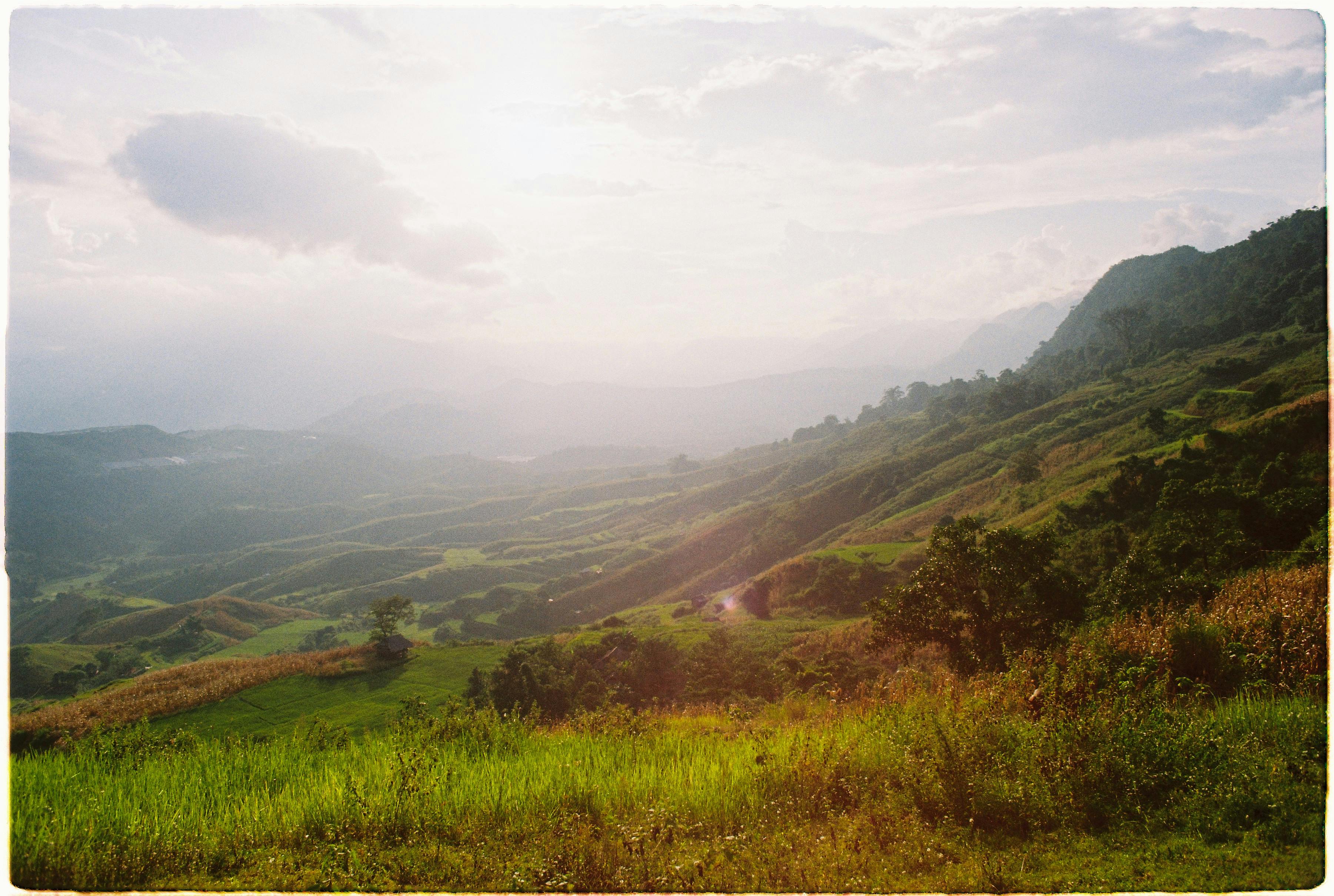 Proverbe și zicători despre agricultură și viața la țară