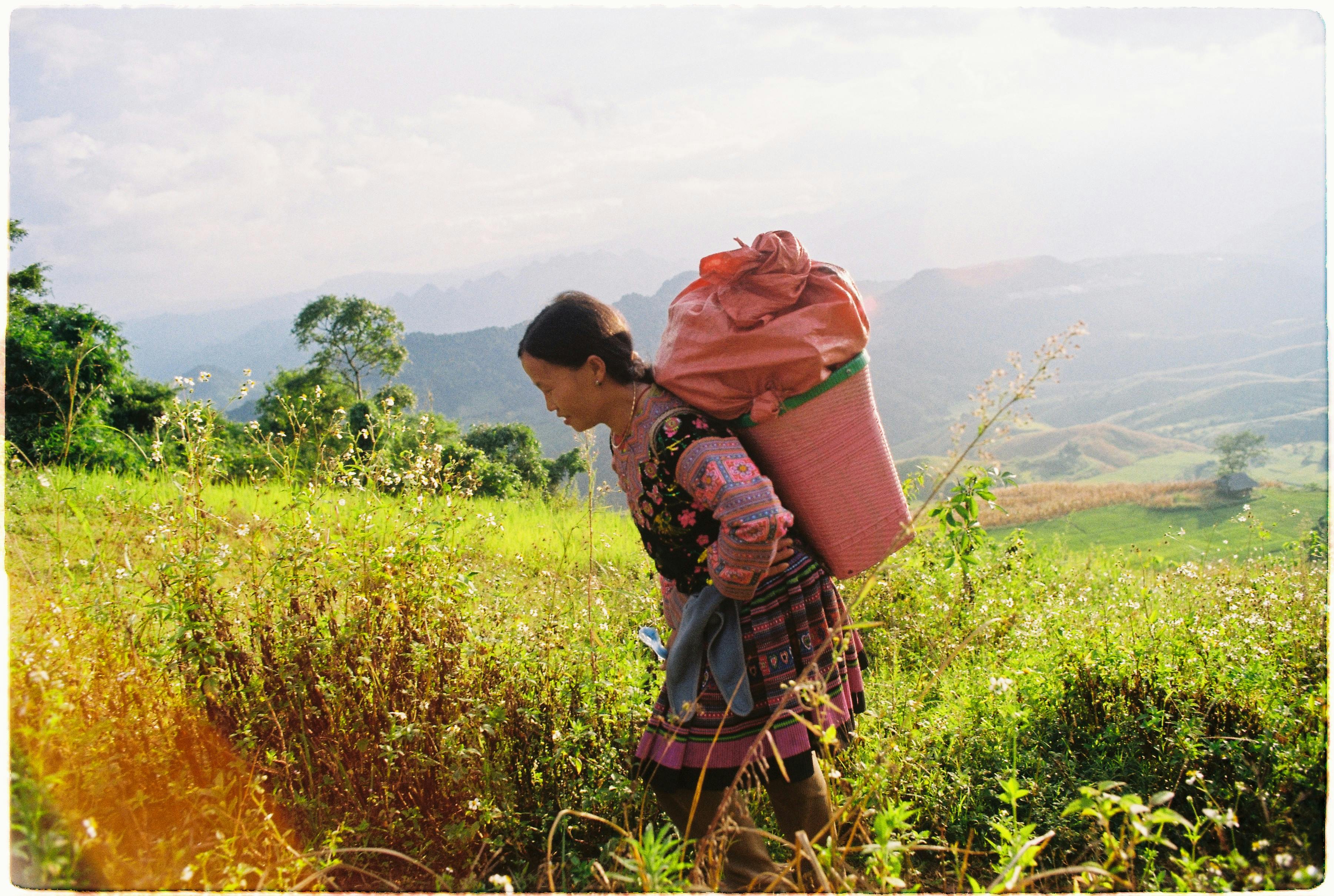 A woman in traditional clothing carries a sack in a beautiful mountain landscape.