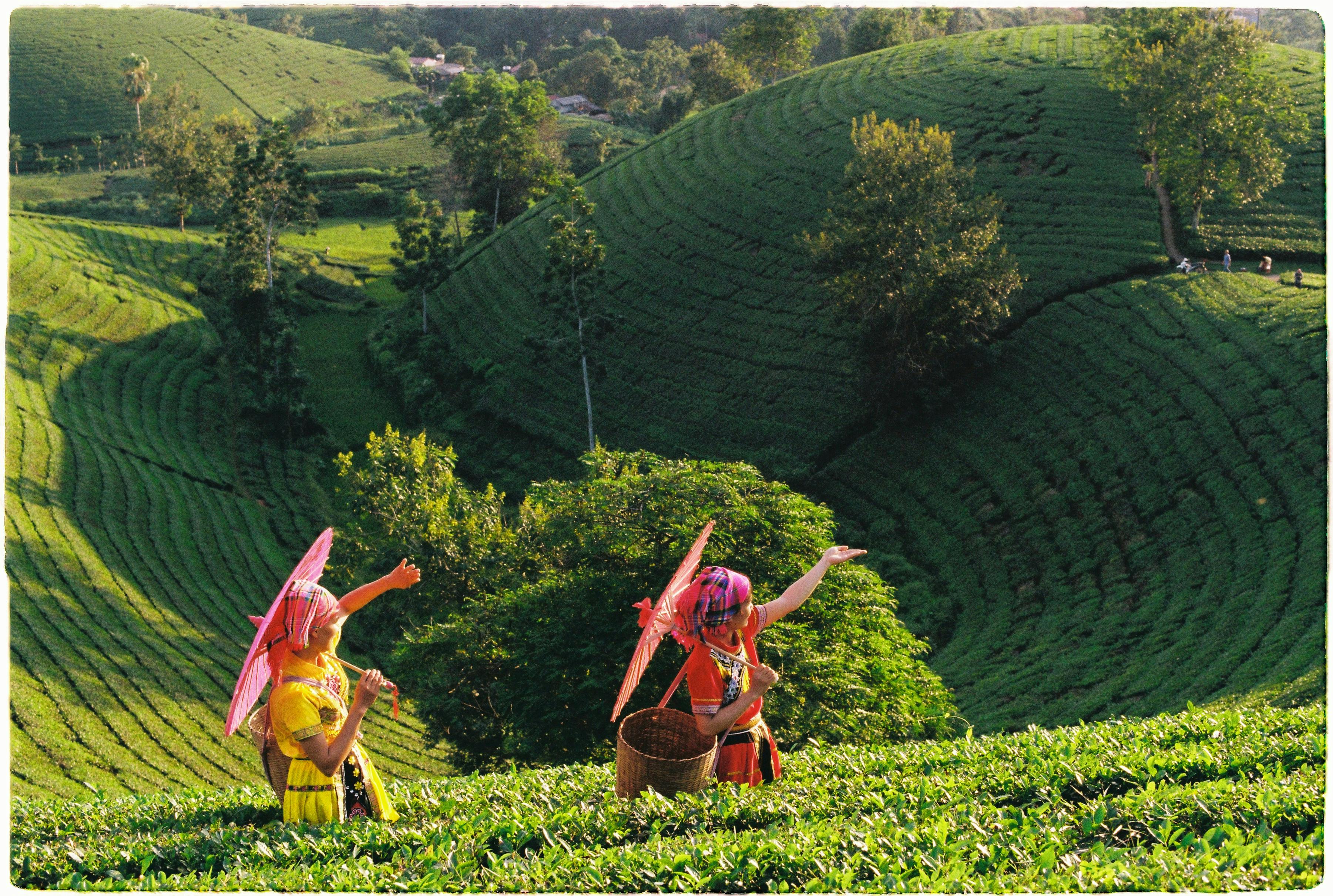 手搖飲店用科技海綿刷茶桶 網友質疑健康風險
