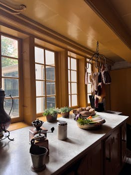 A charming kitchen in Amsterdam with plants, spices, and natural light, displaying timeless charm.