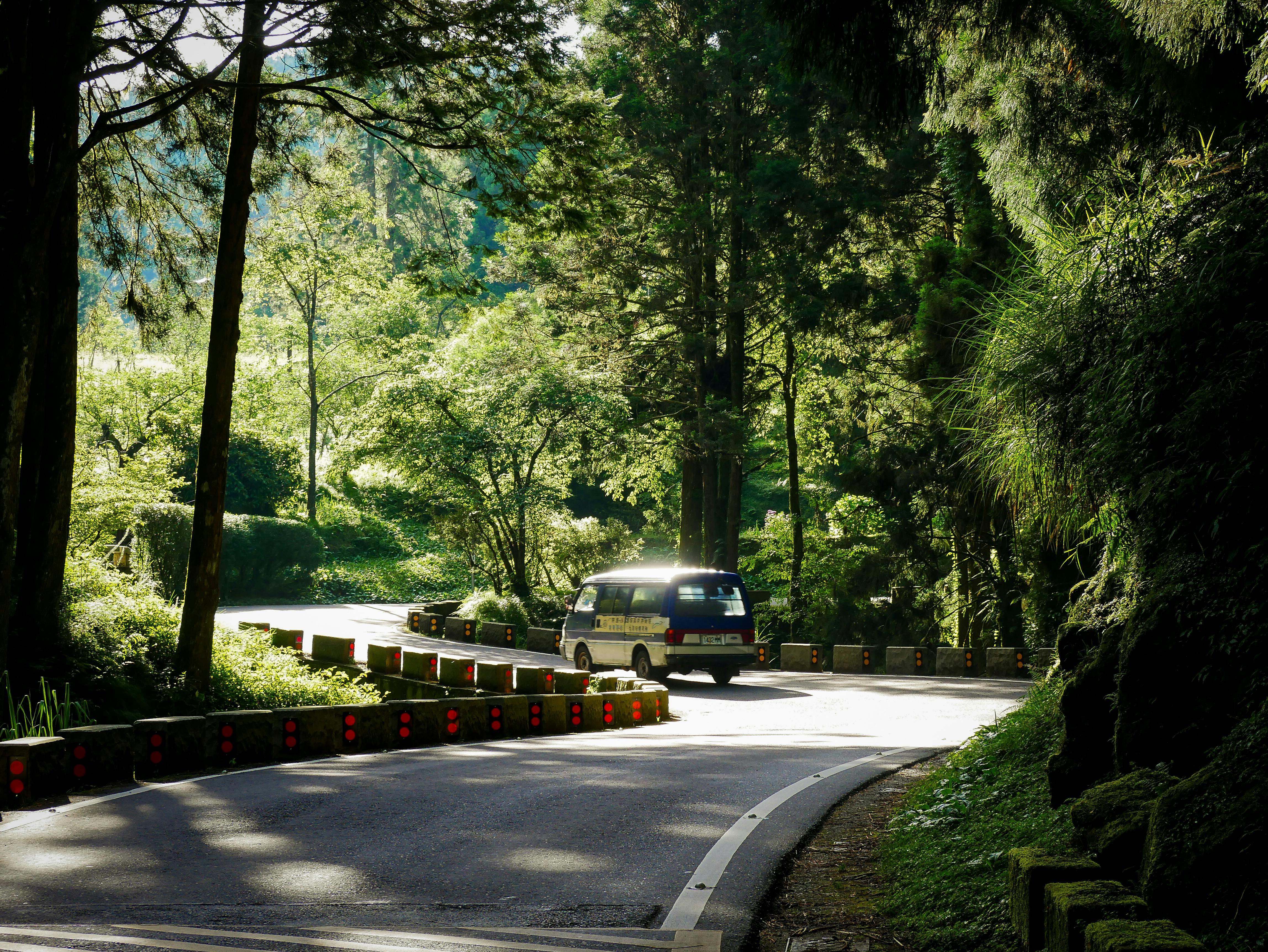 A van drives along a winding forest road surrounded by lush greenery on a sunny day.