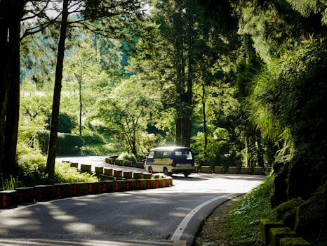 A van drives along a winding forest road surrounded by lush greenery on a sunny day.