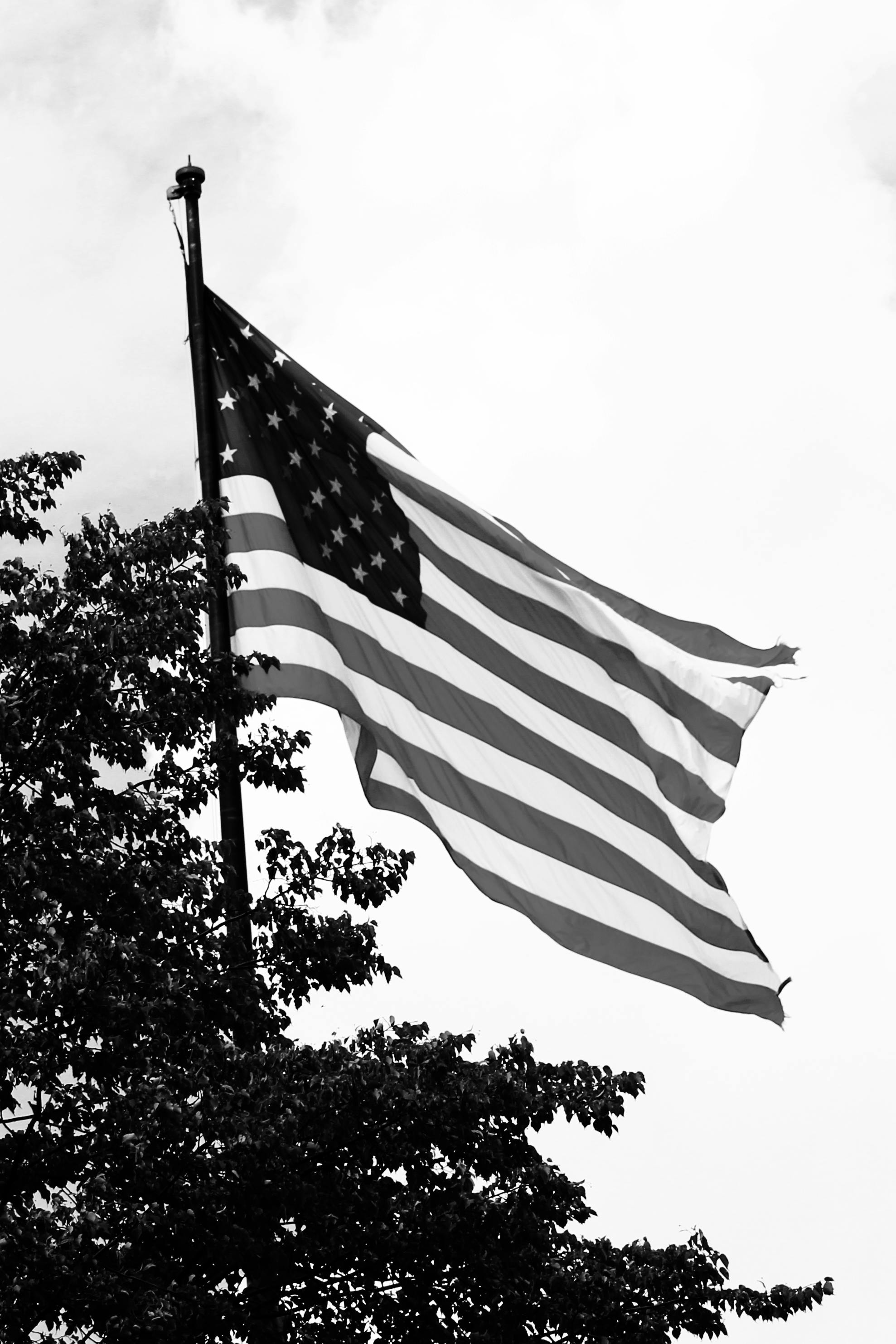 UK and Trump in new tariff discussions as businesses sound alarm