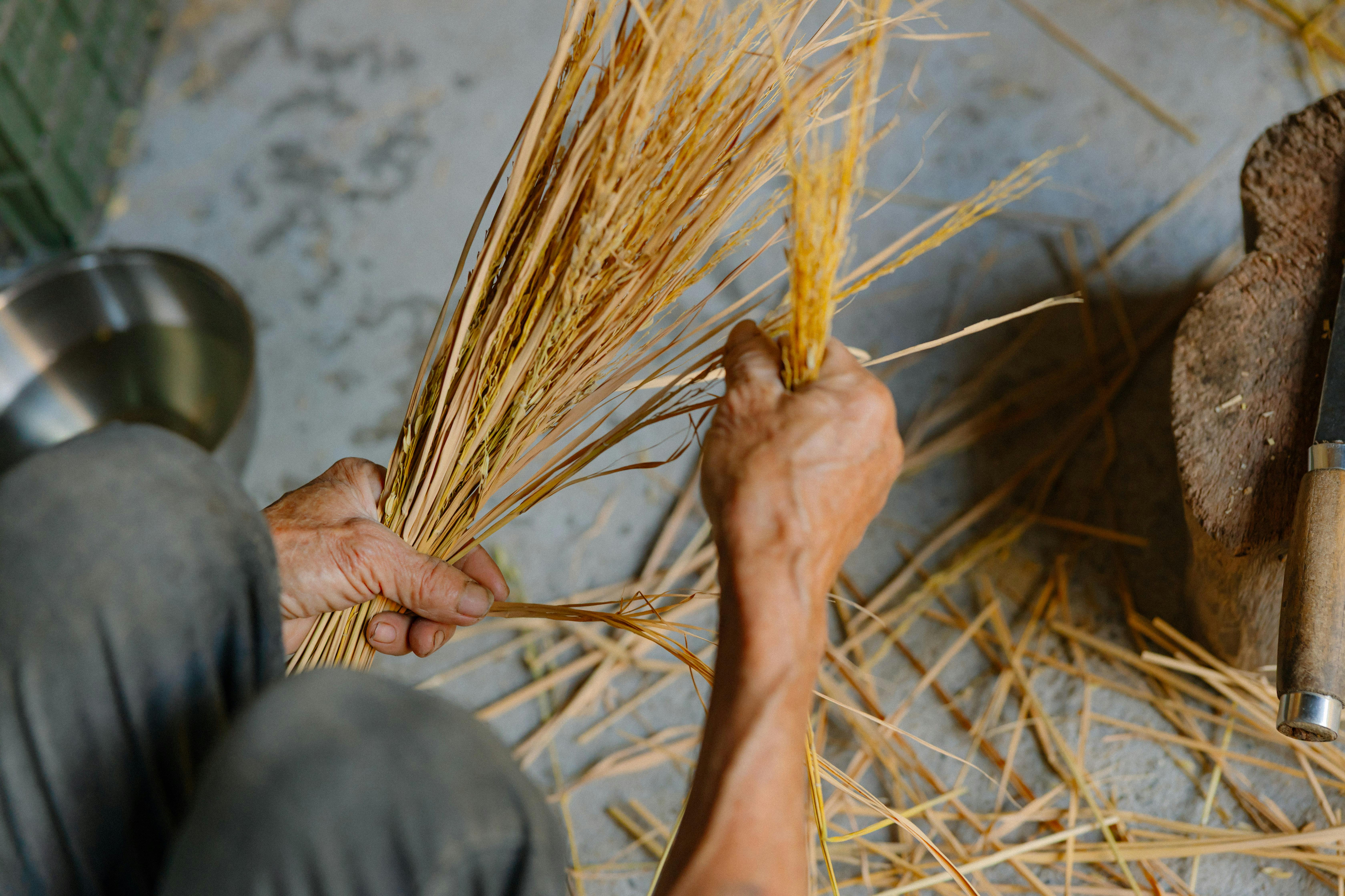 Maximizing Productivity with Micro Tasks for Efficiency