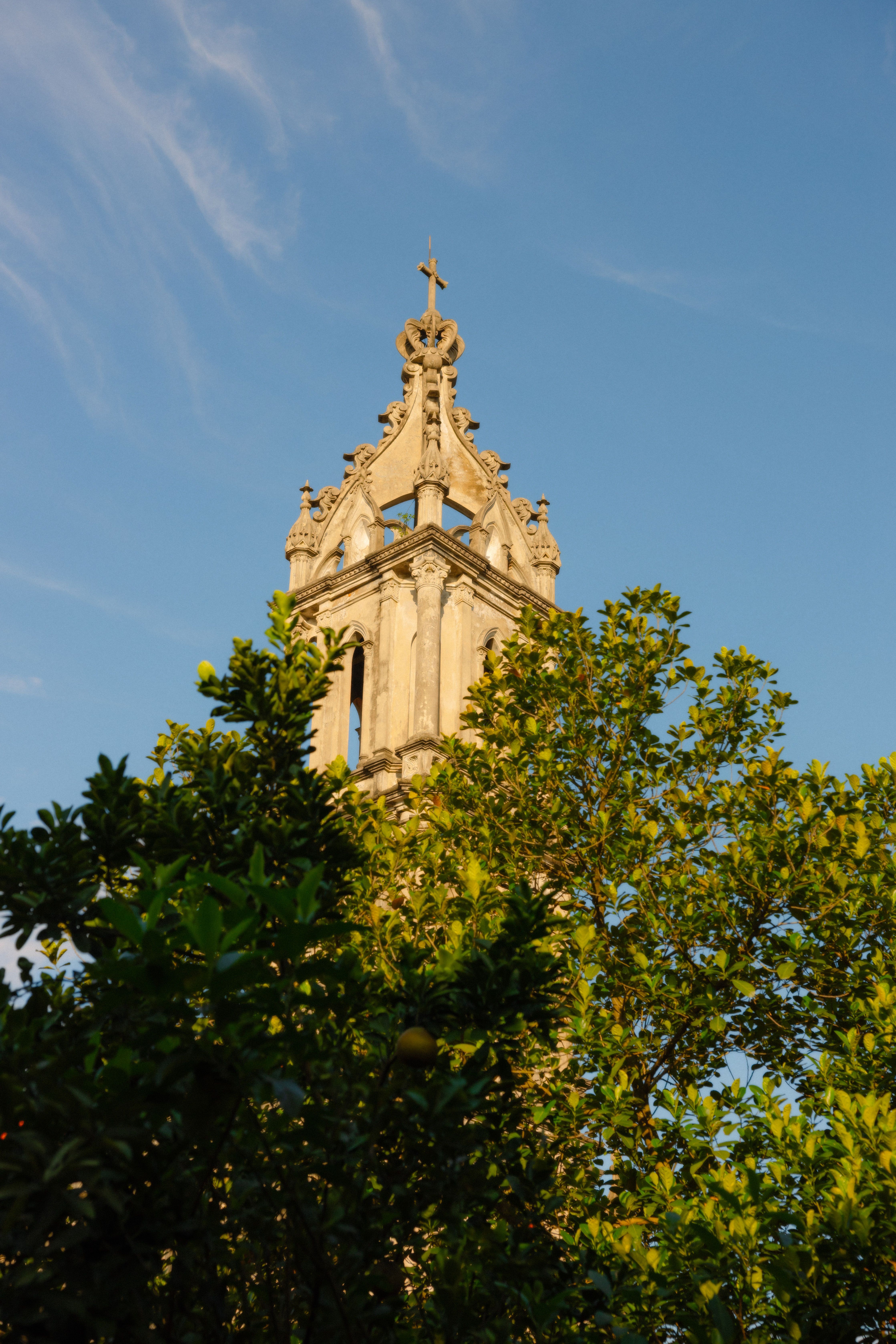 Historic Bell Tower Rising Above Greenery · Free Stock Photo