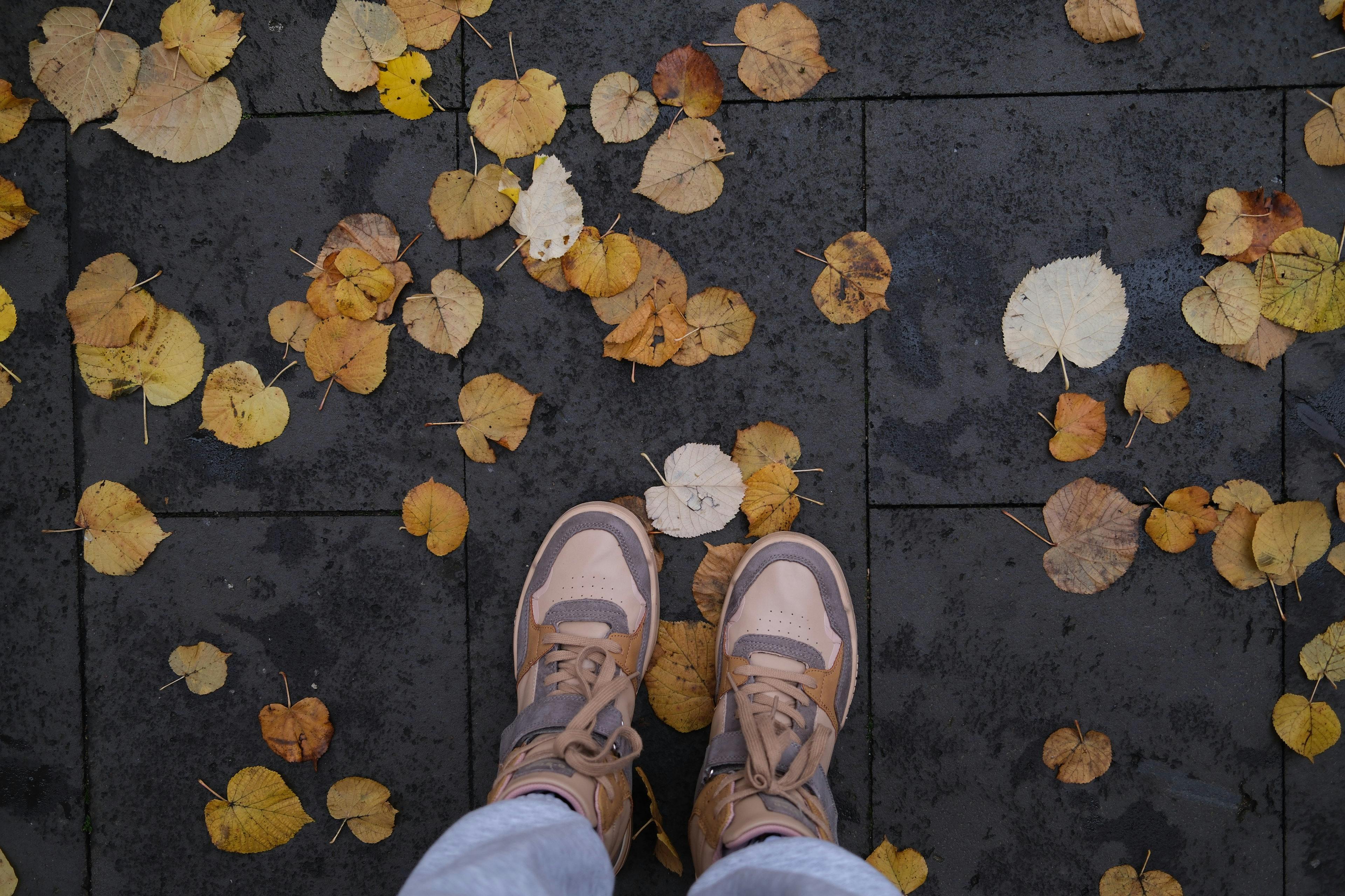 20.000+ Sophie+rain+leaked+tape Bilder und Fotos · Kostenlos Downloaden · Pexels Stock-Fotos