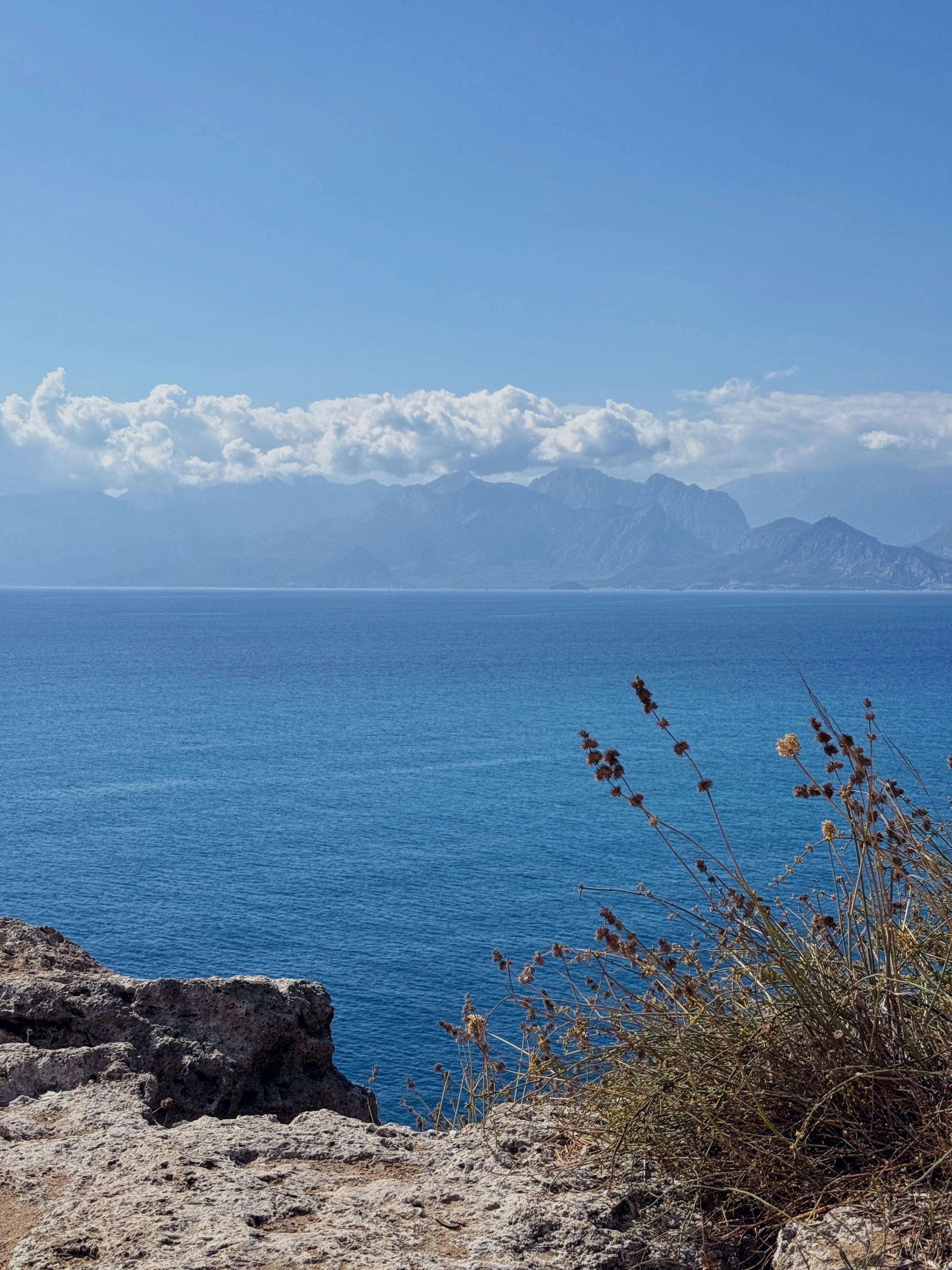 Processed with VSCO with h3 preset