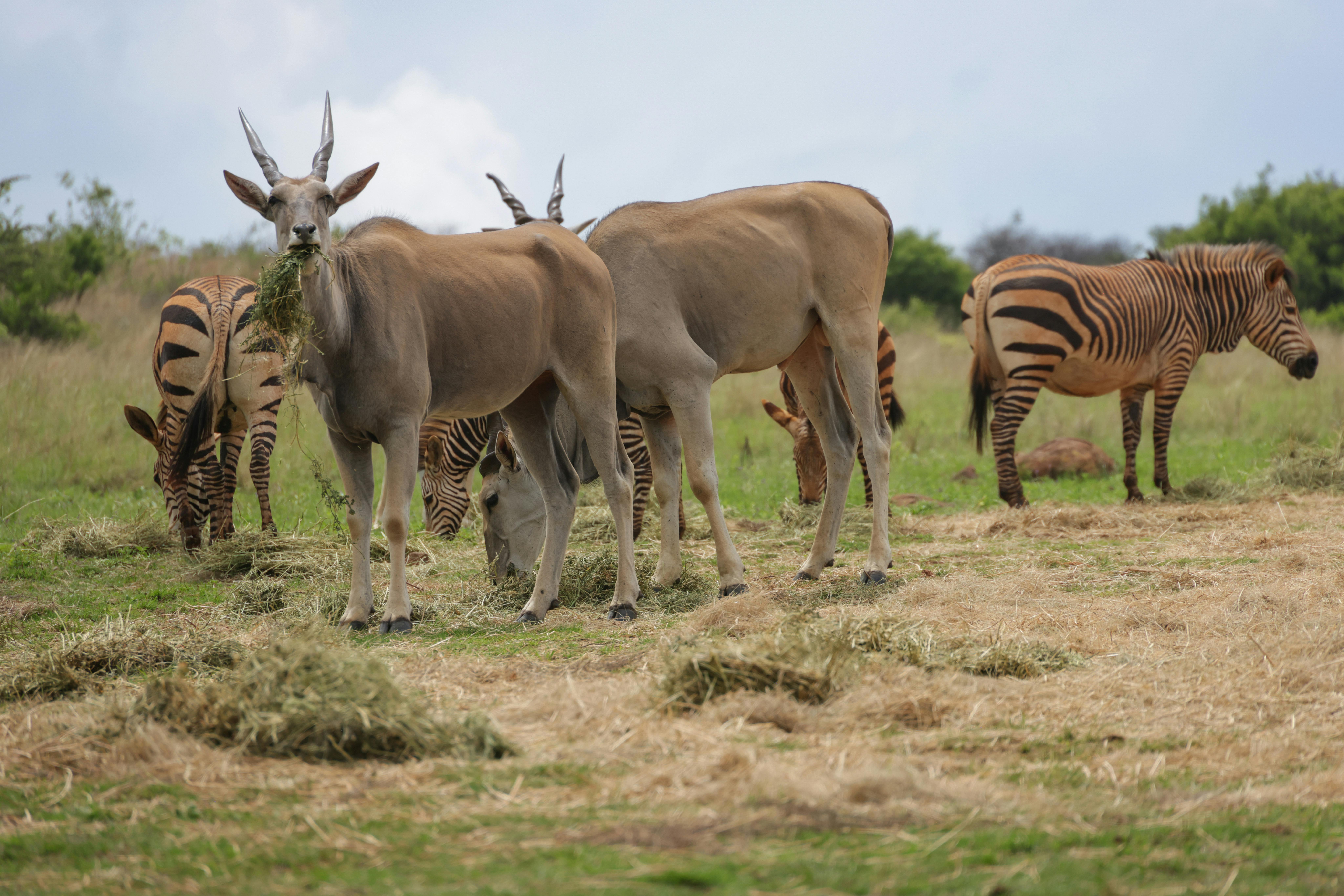 大千世界 國際篇：掌握全球重要時事與多元文化脈動