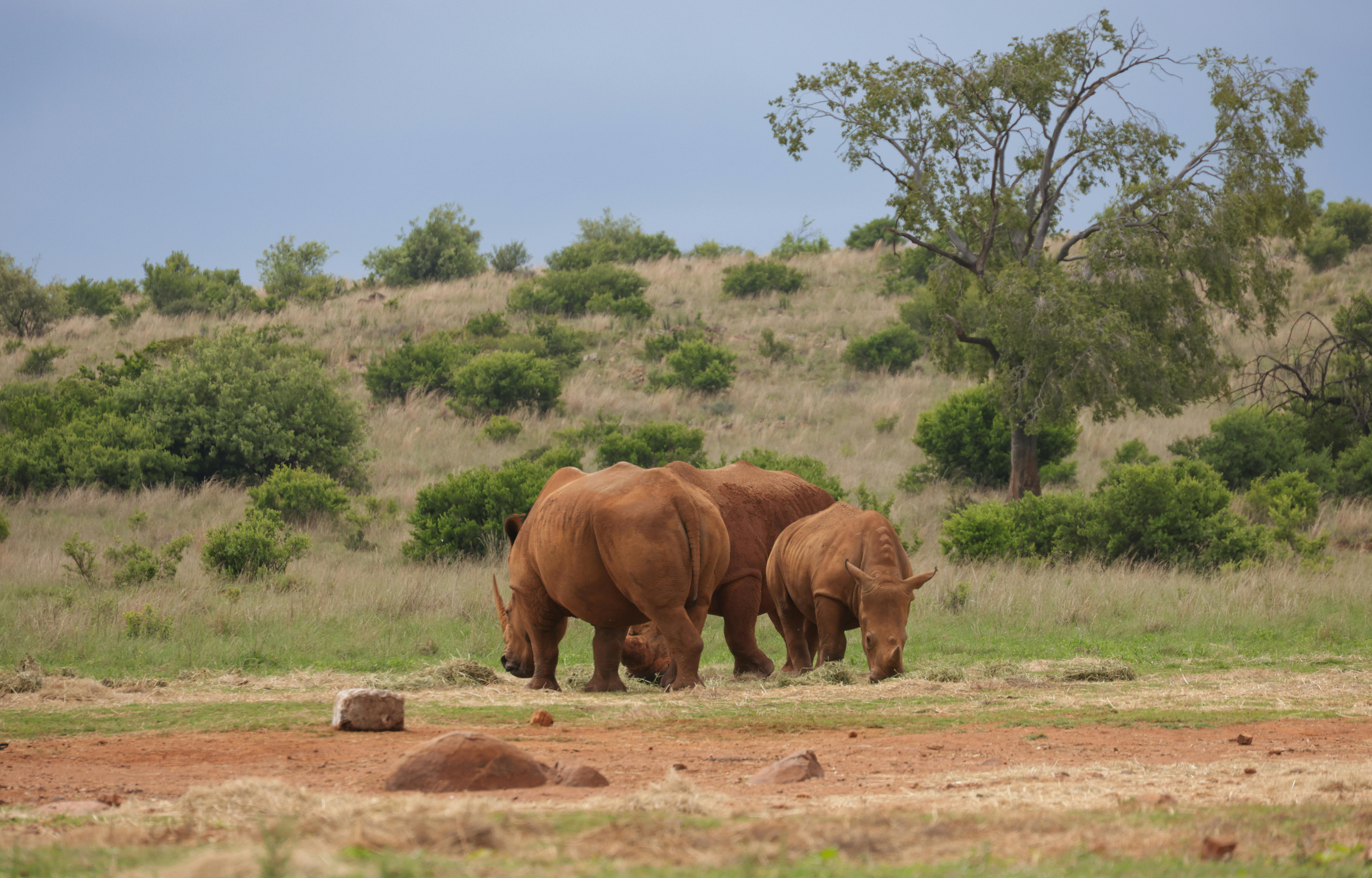 Unlock Hidden Thoughts Now: Discover Your Inner Mind