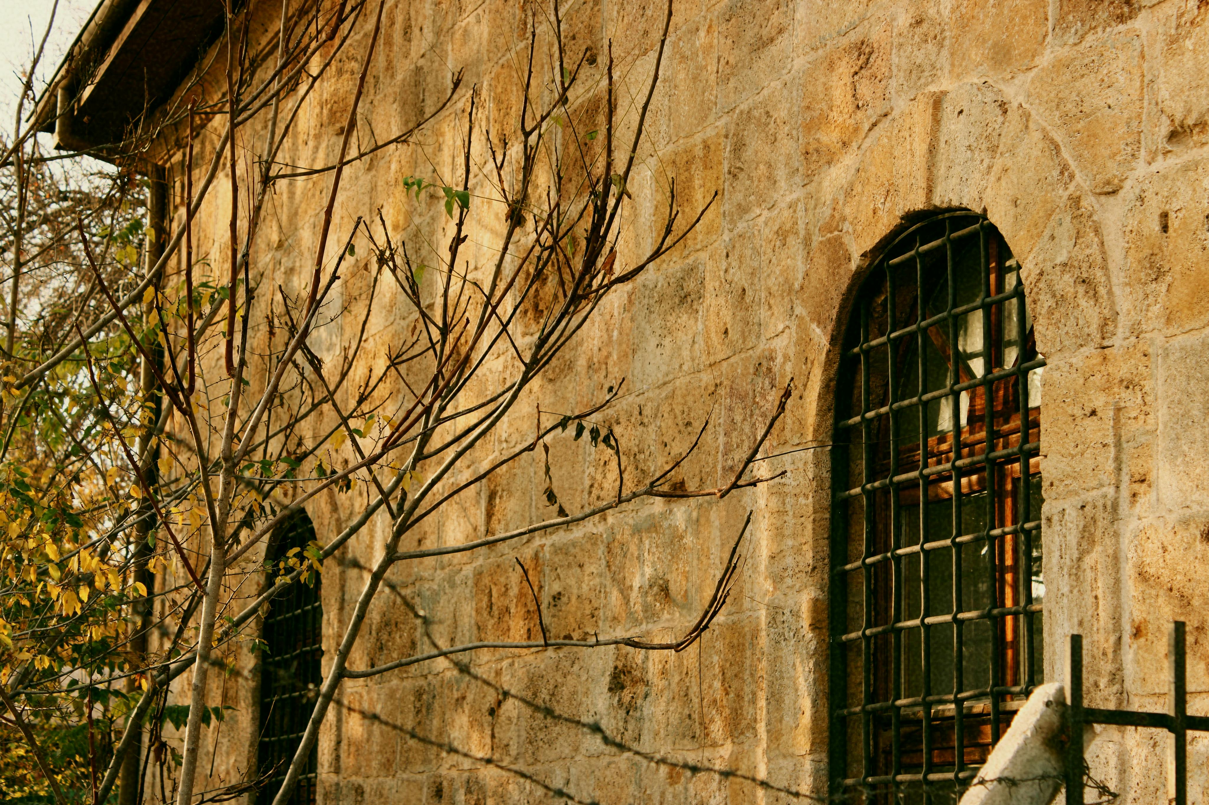 生活：最強冷空氣襲台 全台濕冷感持續 專家預測回暖時程