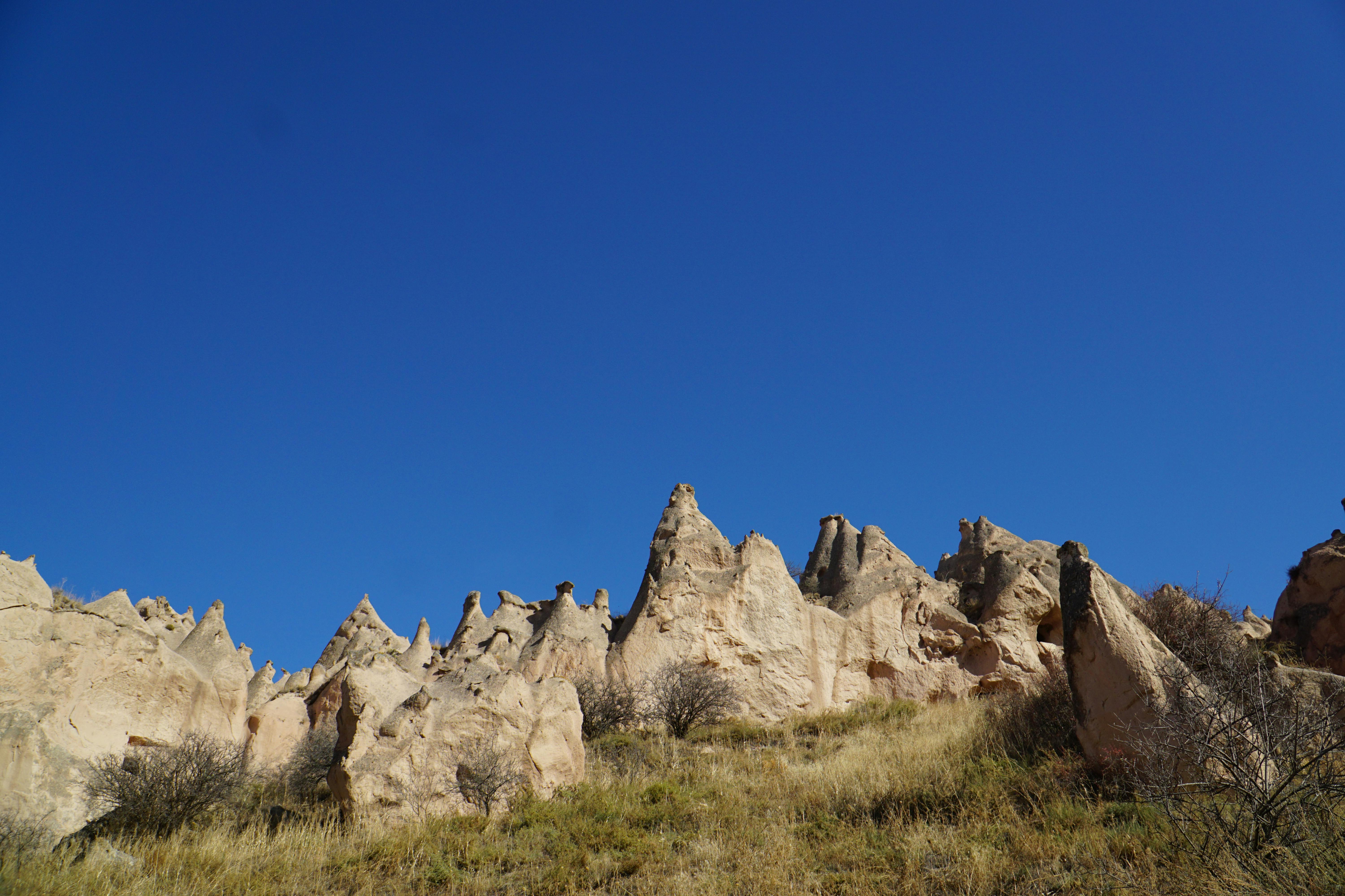 Release Date Speculations