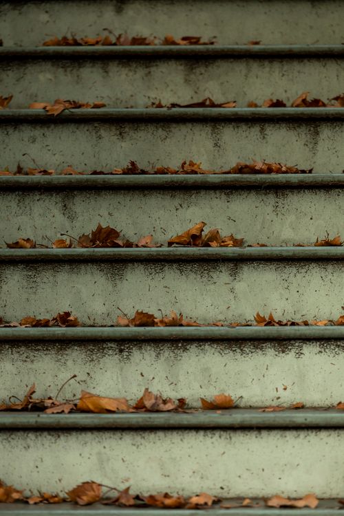 Free A rustic outdoor staircase covered with fallen autumn leaves, creating a vintage atmosphere. Stock Photo