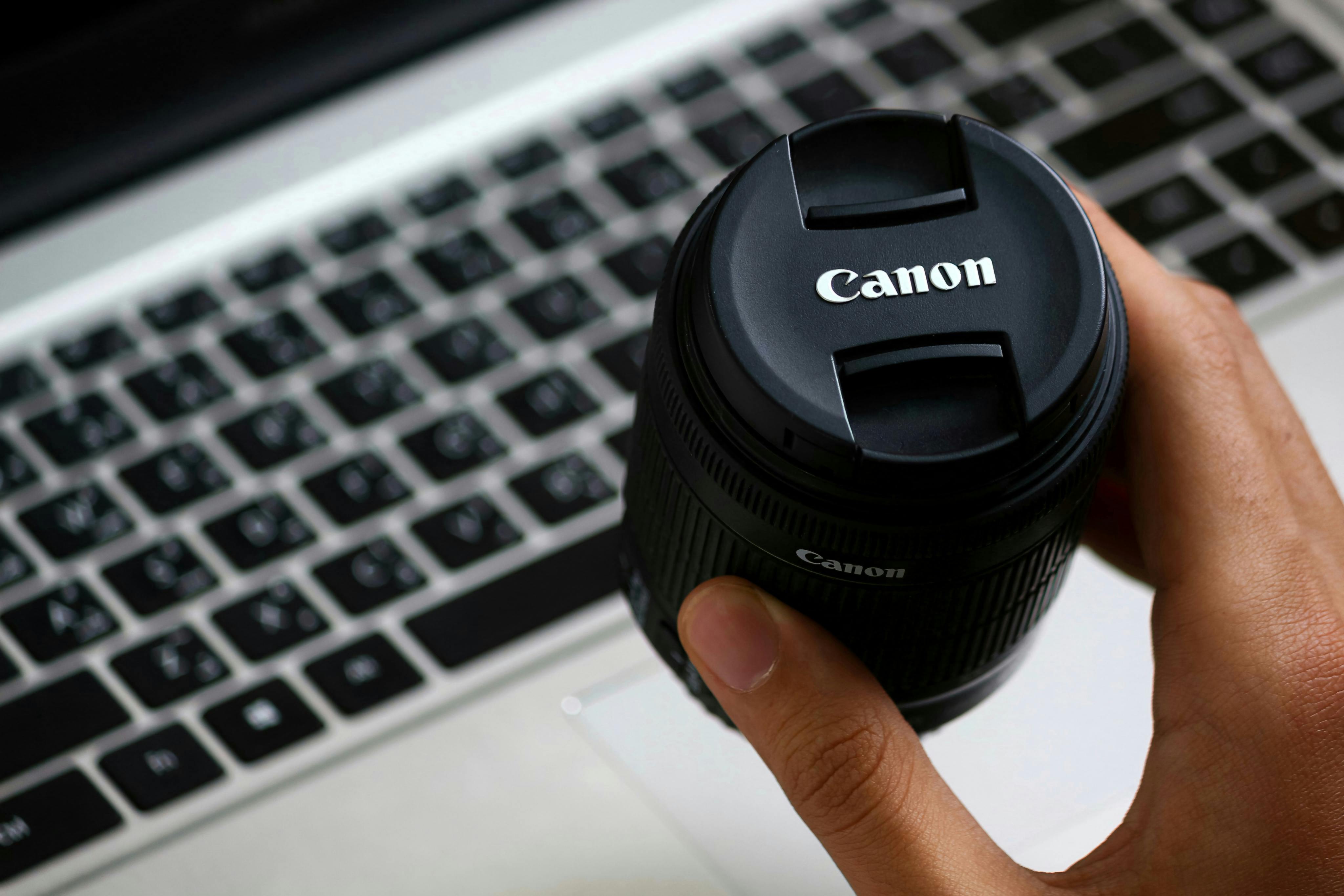 UF adds Western canon-focused courses to general education — Photo by Abdelrahman  Ahmed on Pexels