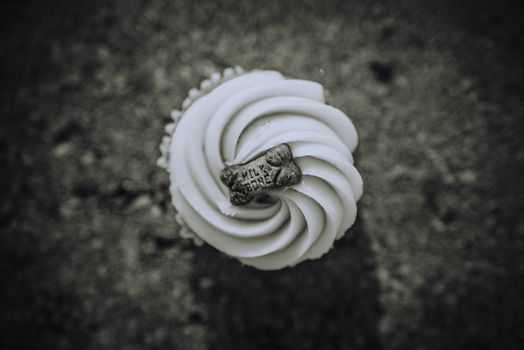 Black and white artistic shot of a cupcake with a Milk Bone treat on top.