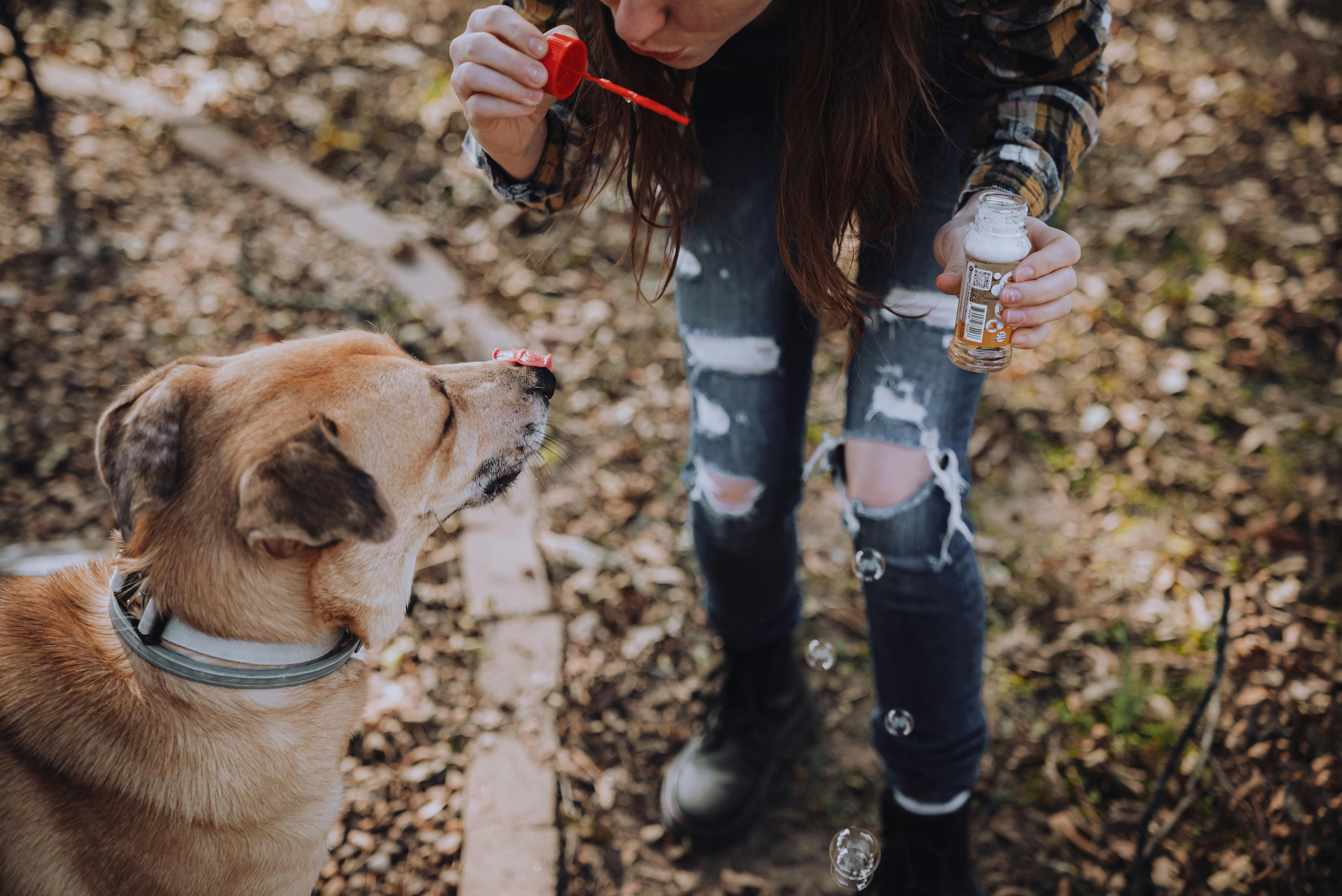 Chewy Leans On Pet Health Ecosystem To Deepen Customer Value — Photo by Connor Scott McManus on Pexels
