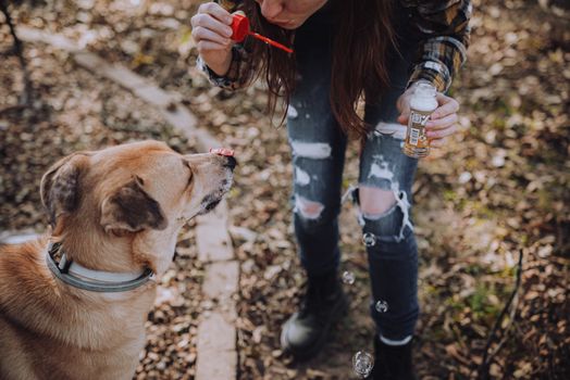 A person blows bubbles for a playful dog outdoors, capturing a joyful moment.