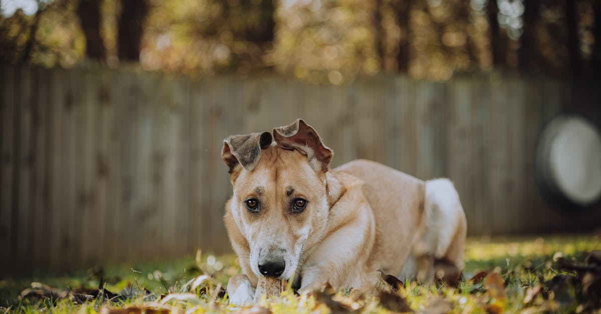 政治:何昱奇:不必爭論誰「竊國」,更不應竊走下一代未來