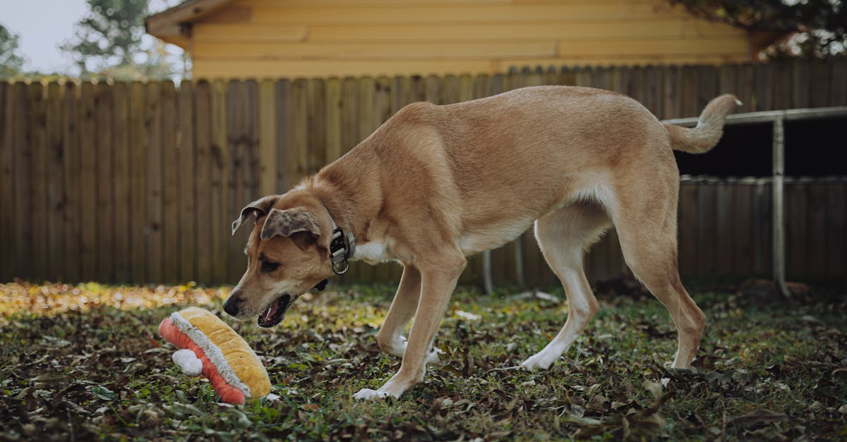 政治:何昱奇:不必爭論誰「竊國」,更不應竊走下一代未來