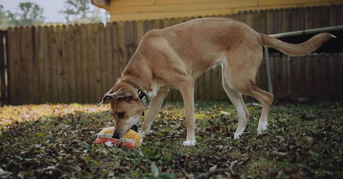 政治:何昱奇:不必爭論誰「竊國」,更不應竊走下一代未來