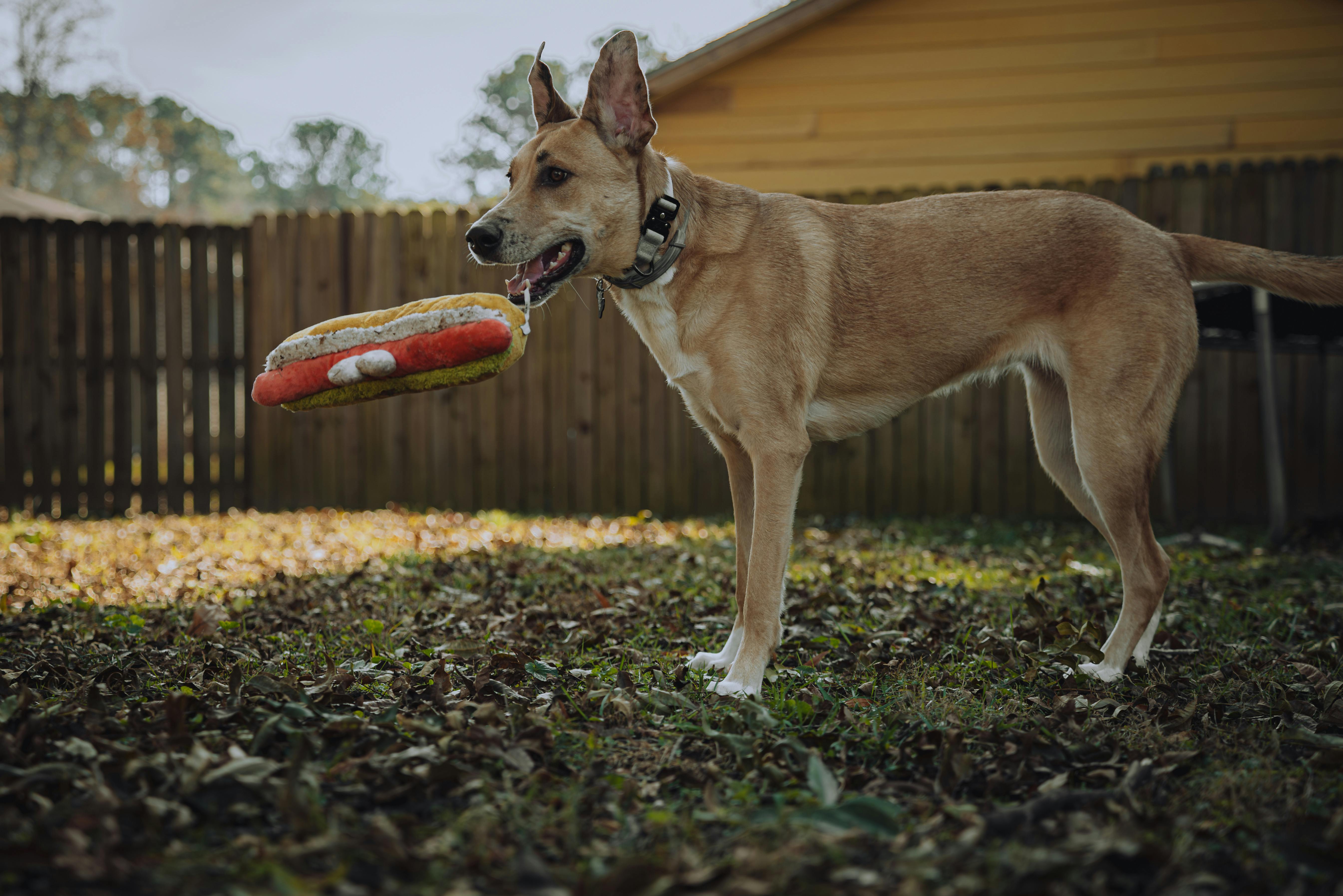 美股AI泡沫疑慮升溫 下週科技股恐面臨更大震盪