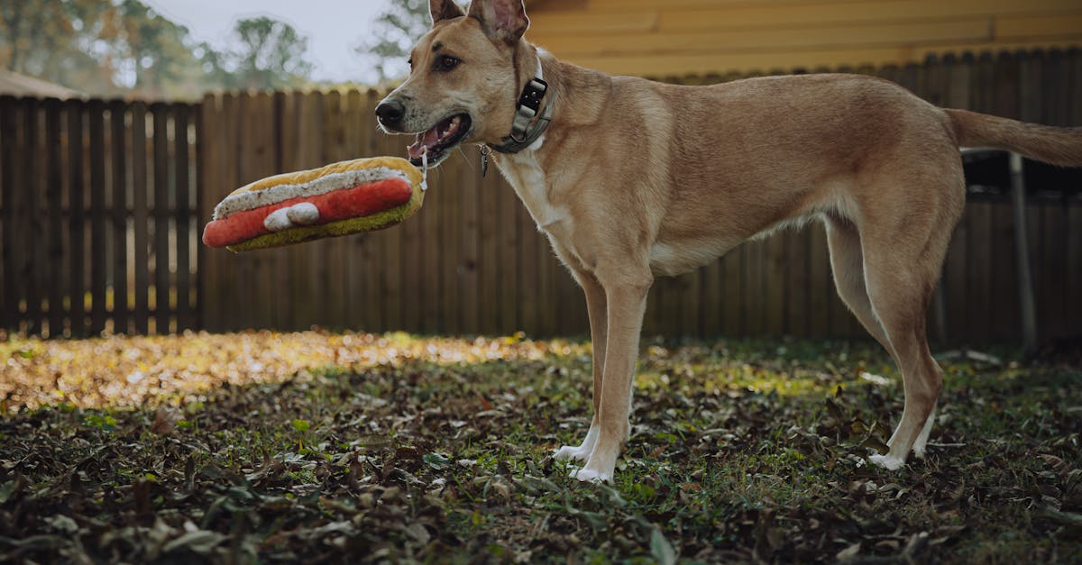 政治:何昱奇:不必爭論誰「竊國」,更不應竊走下一代未來